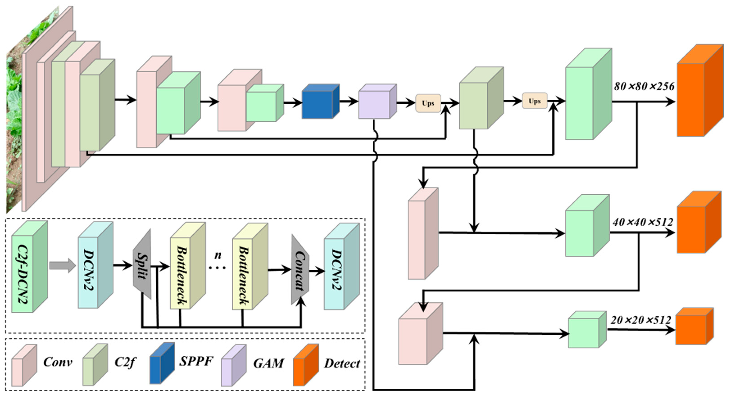 Agriculture 14 00045 g003