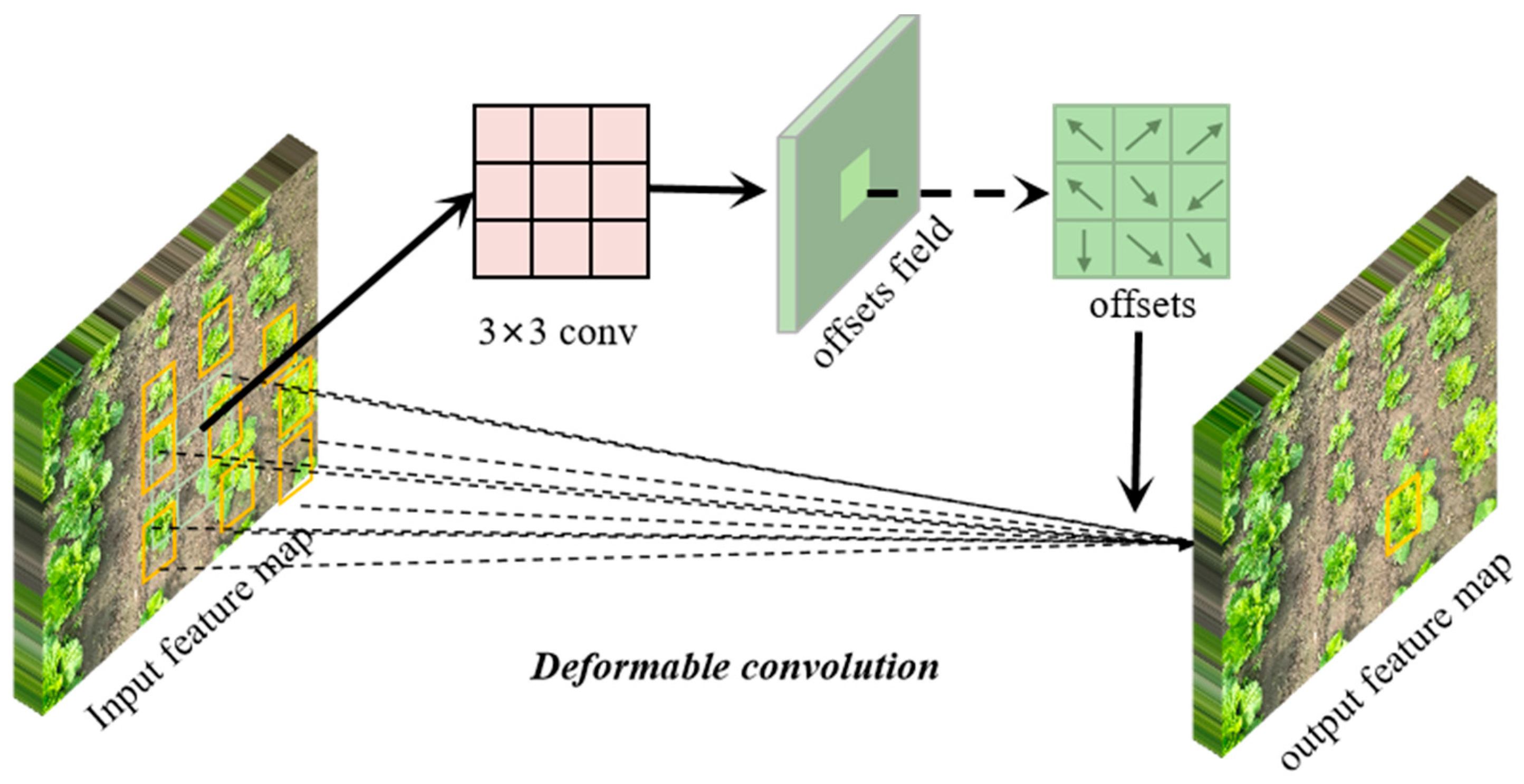 Agriculture 14 00045 g004