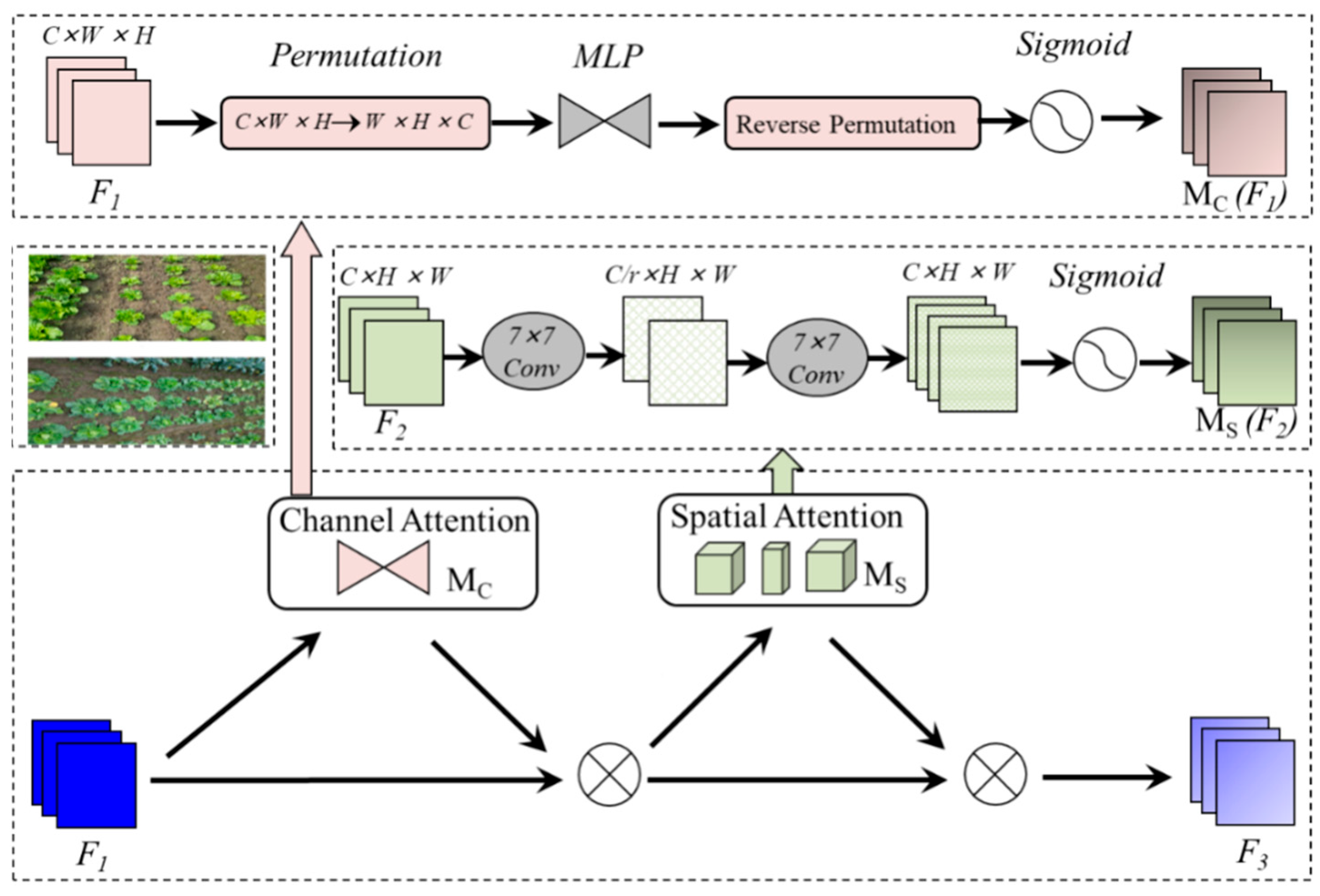 Agriculture 14 00045 g006