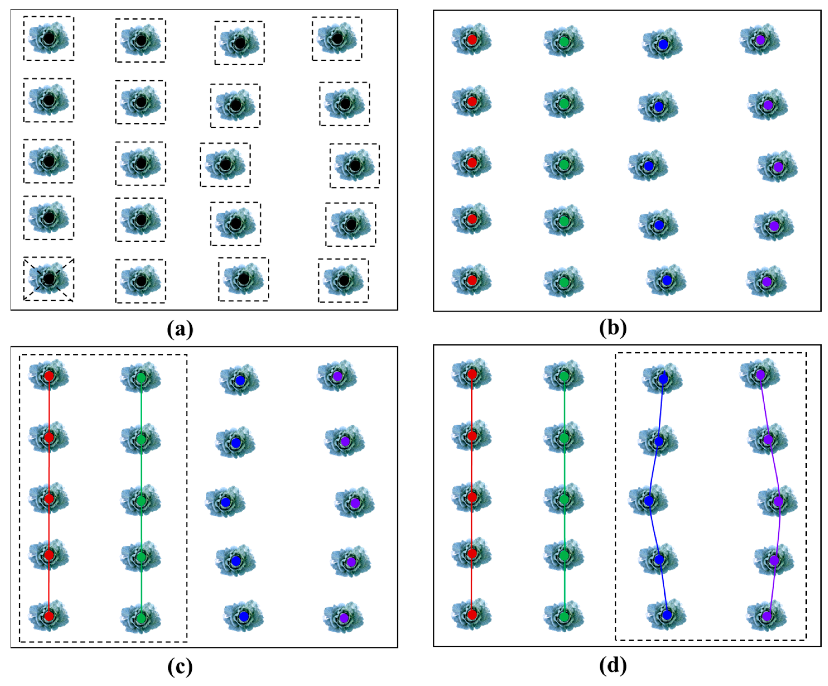 Agriculture 14 00045 g007