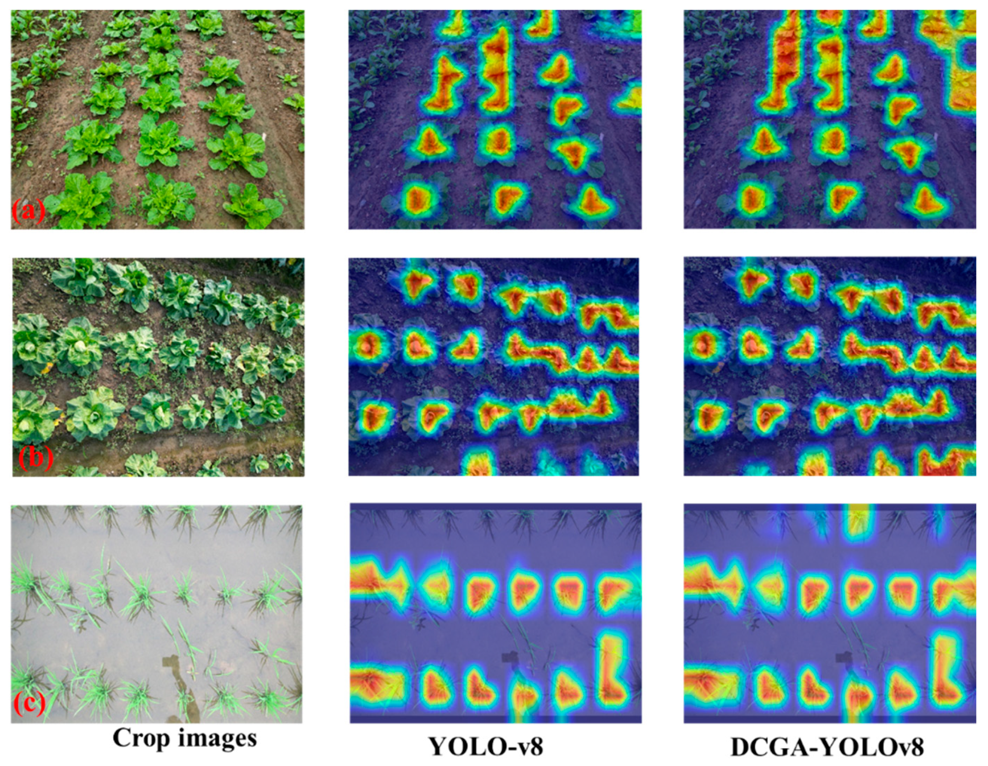 Agriculture 14 00045 g012