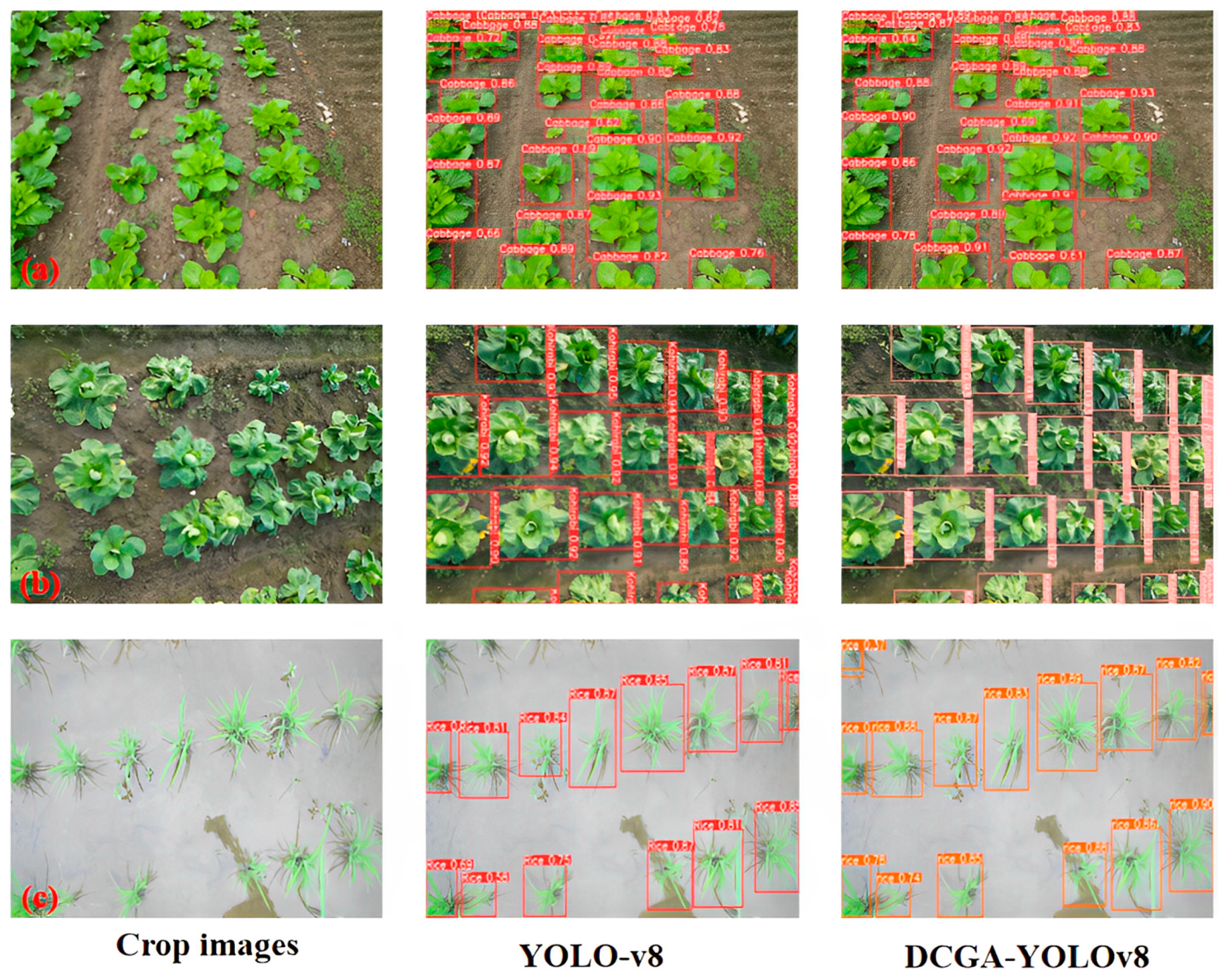 Agriculture 14 00045 g013
