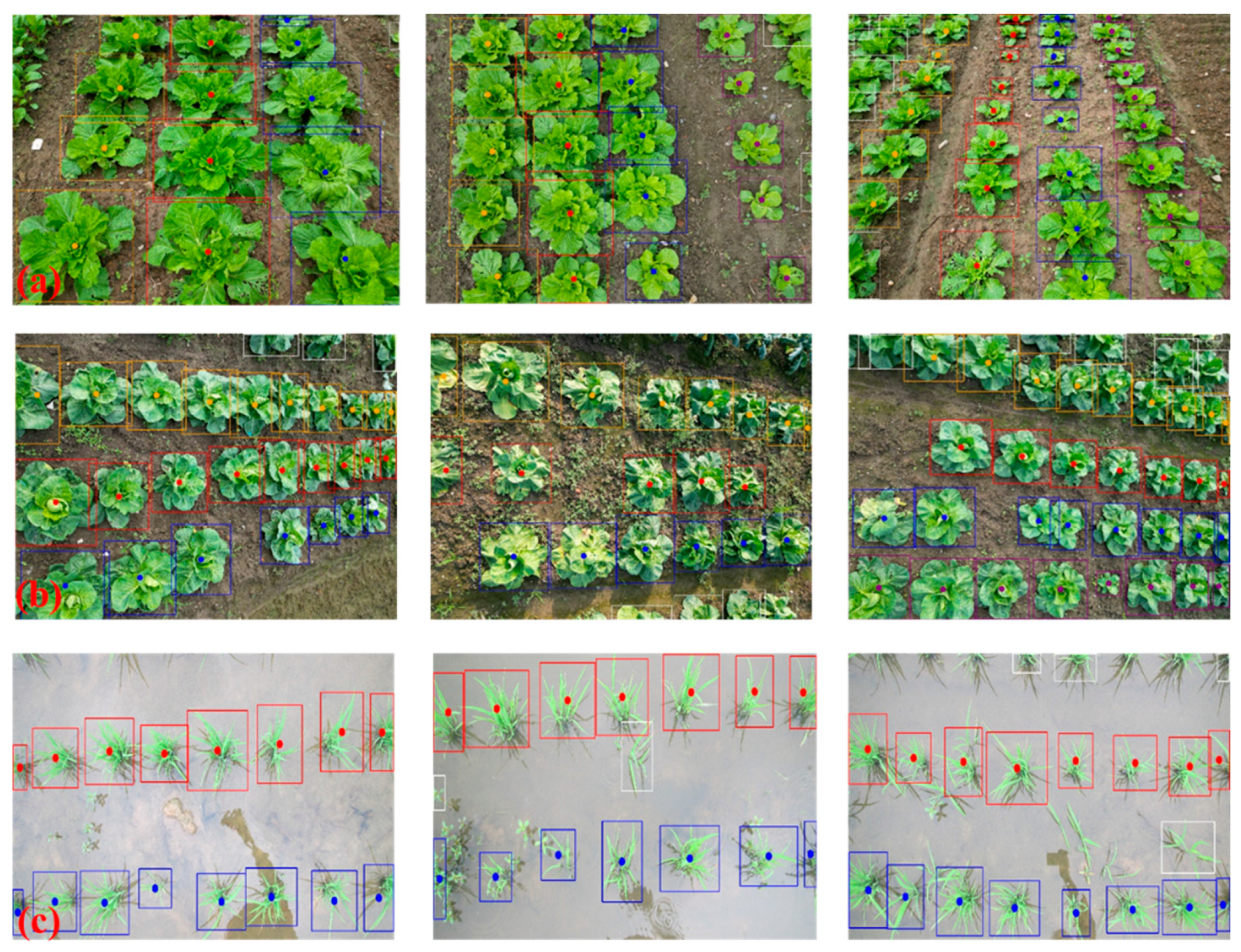 Agriculture 14 00045 g014