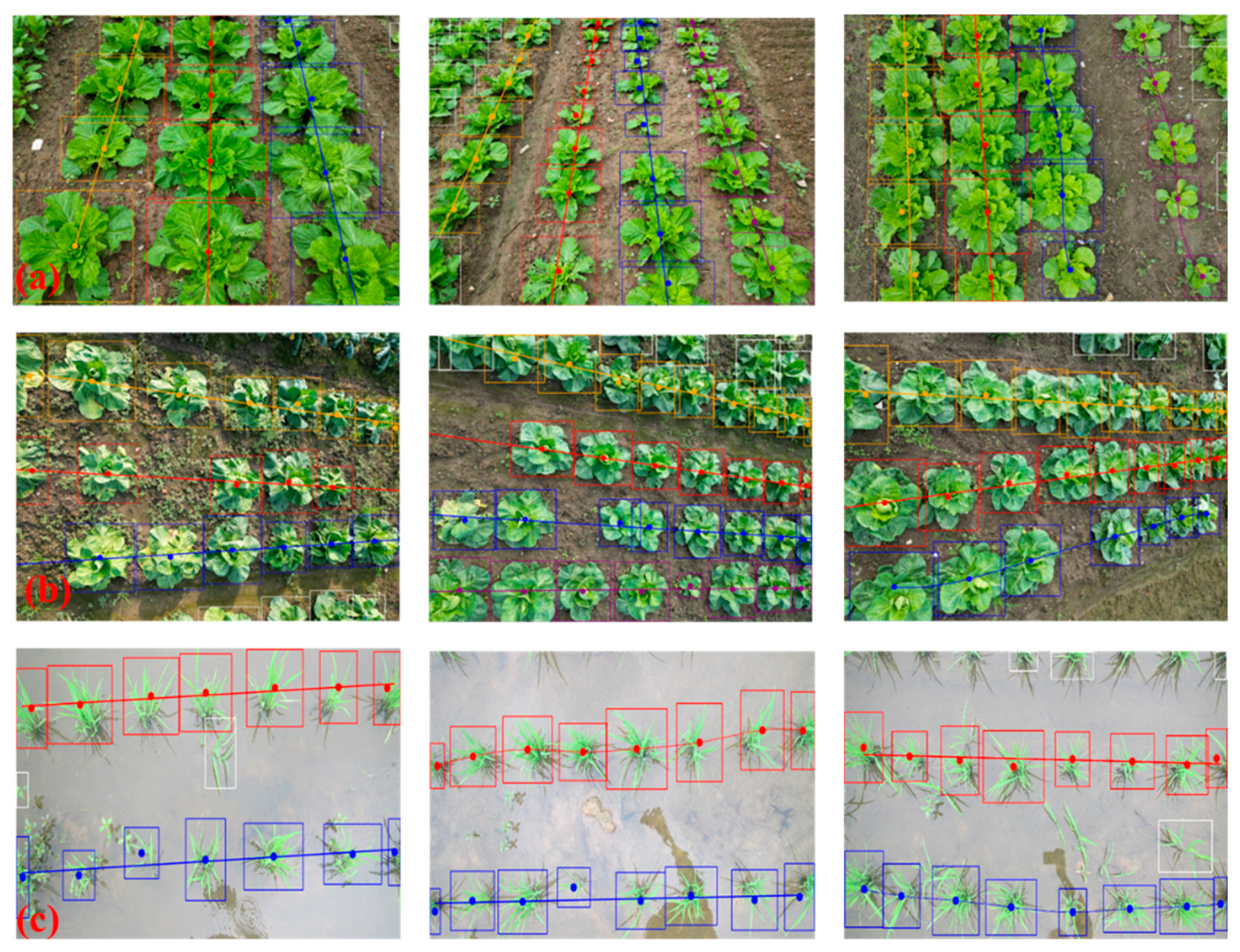 Agriculture 14 00045 g015