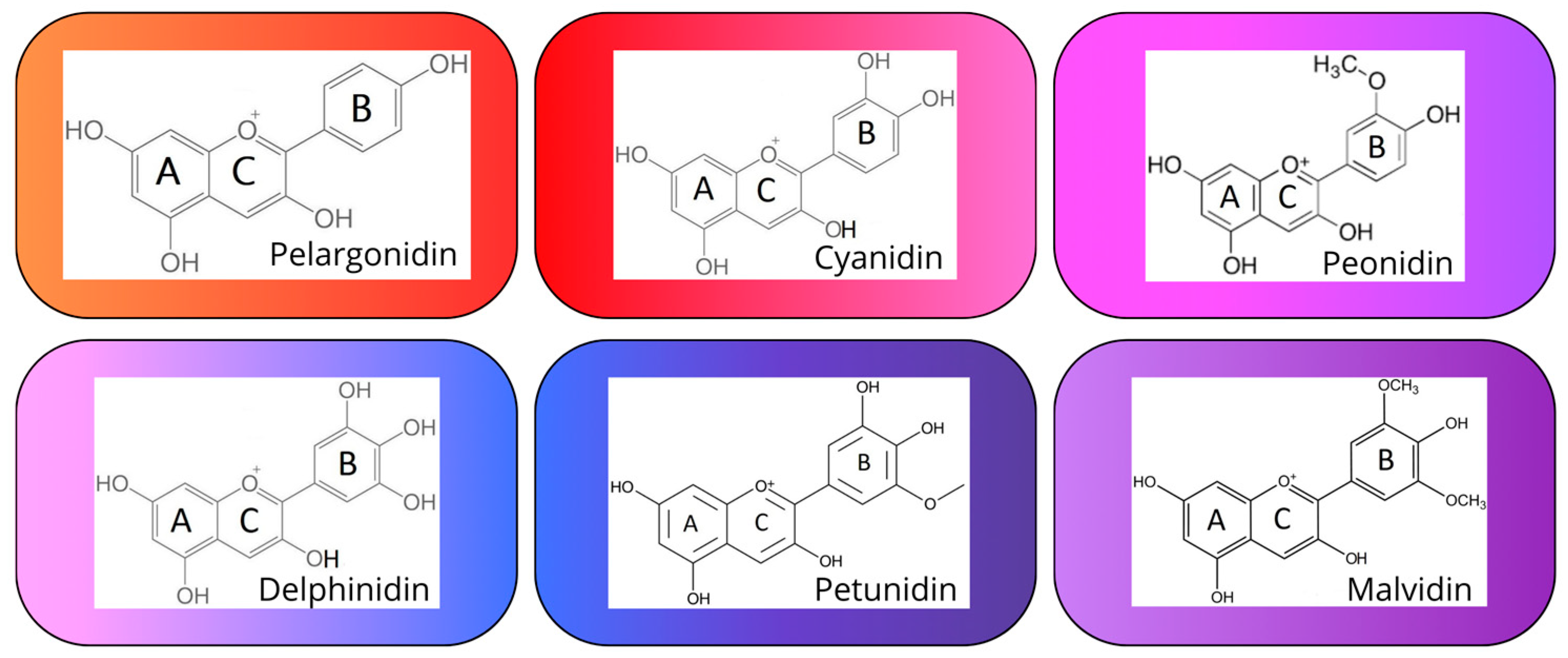 Agriculture 14 00052 g003