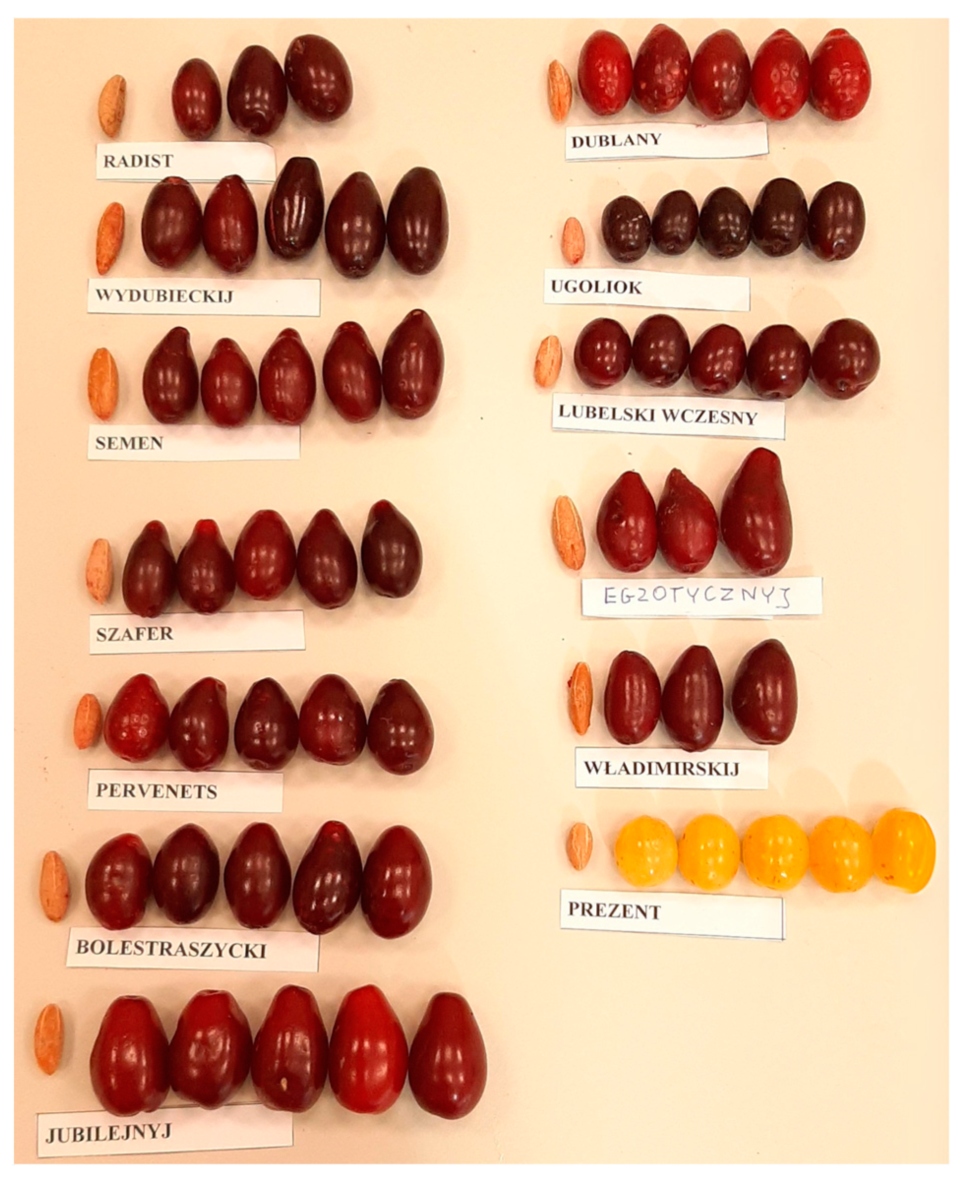 Agriculture 14 00052 g006