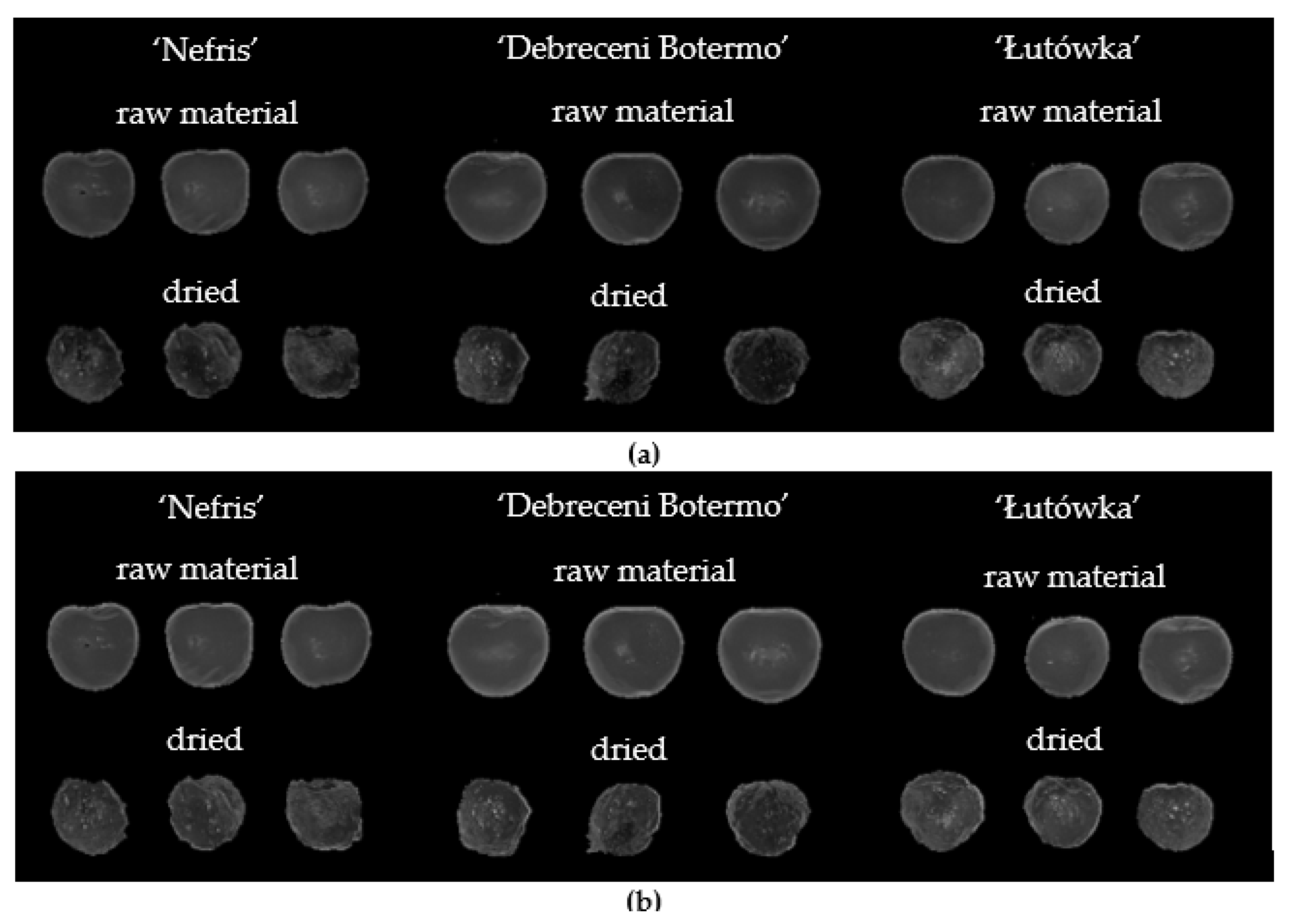 Agriculture 14 00054 g003