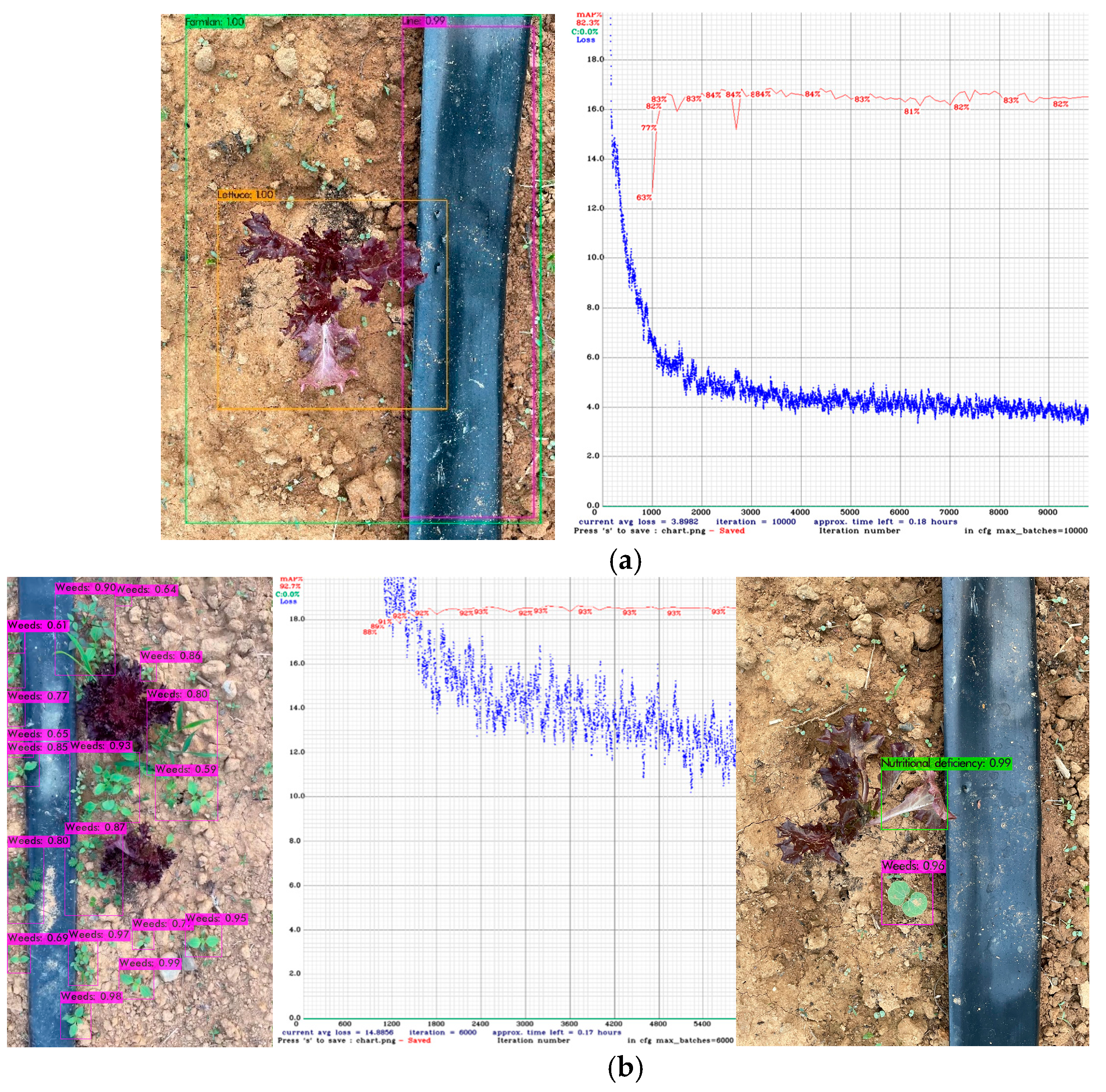 Agriculture 14 00057 g016