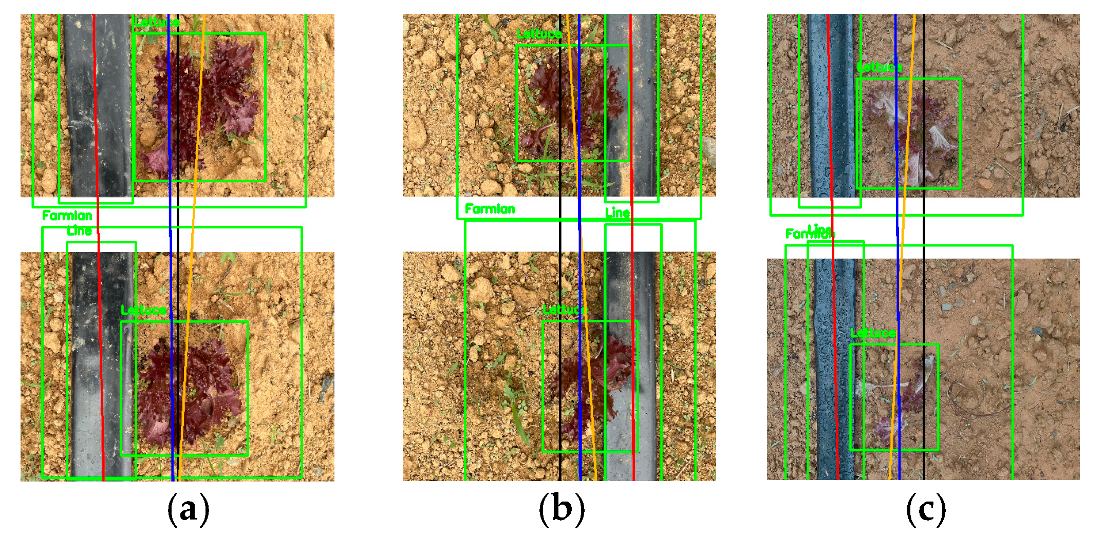 Agriculture 14 00057 g020