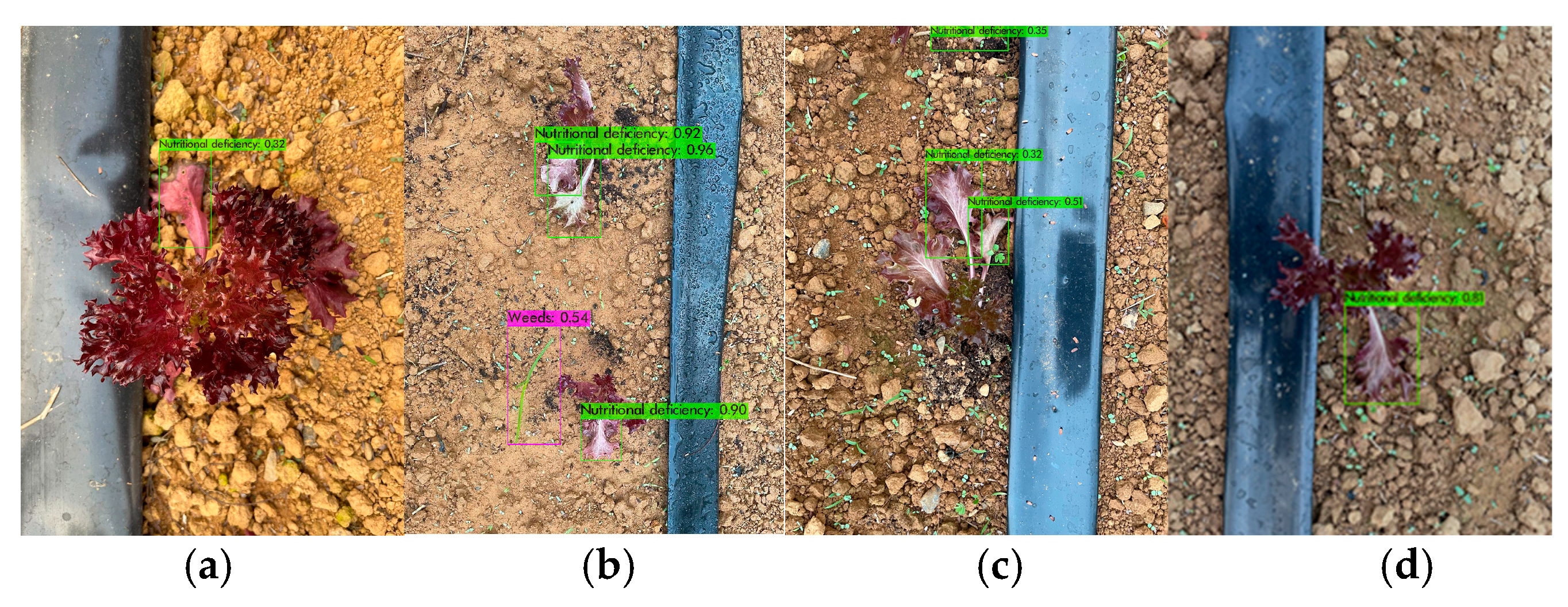 Agriculture 14 00057 g024