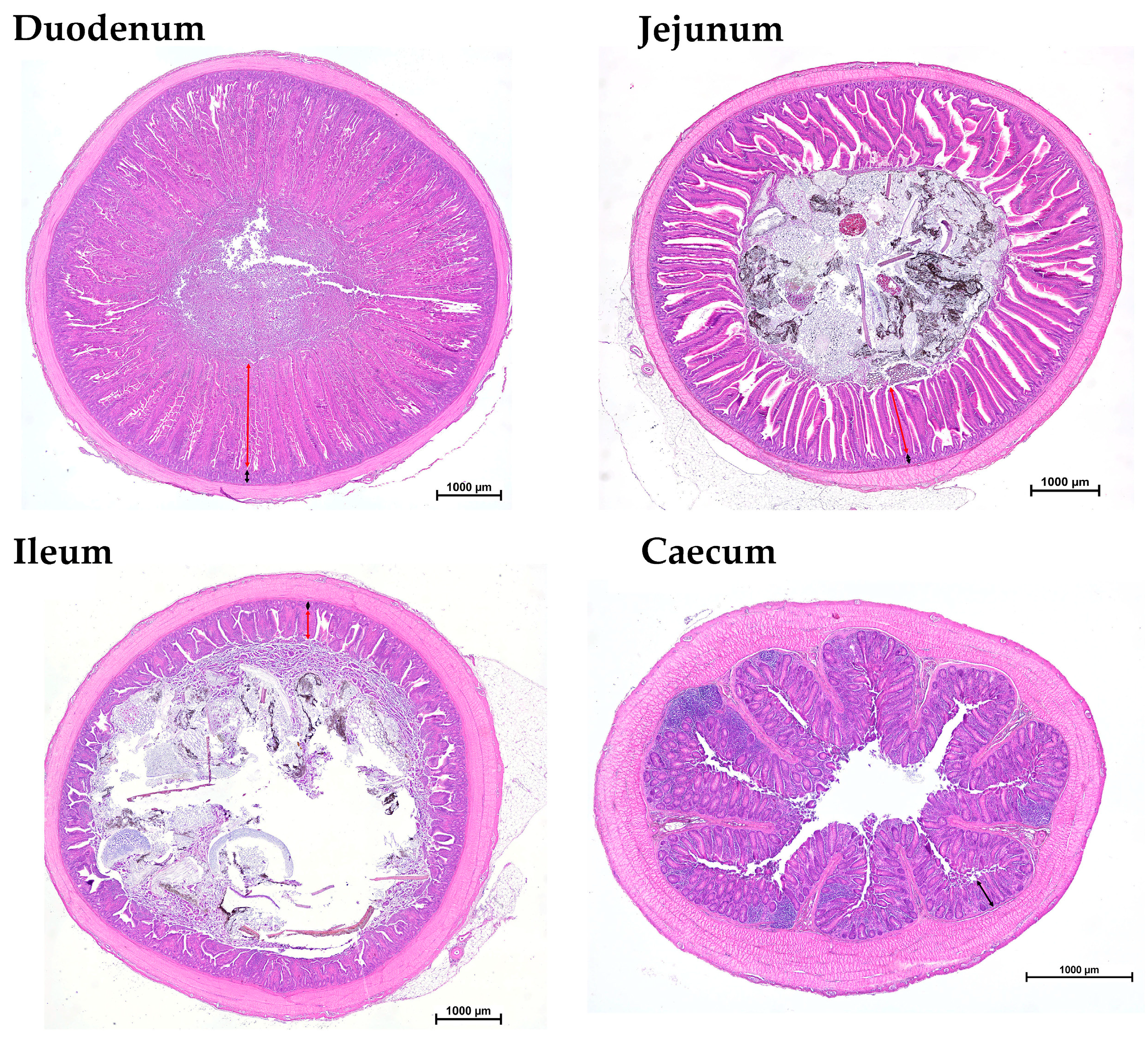 Agriculture 14 00064 g001