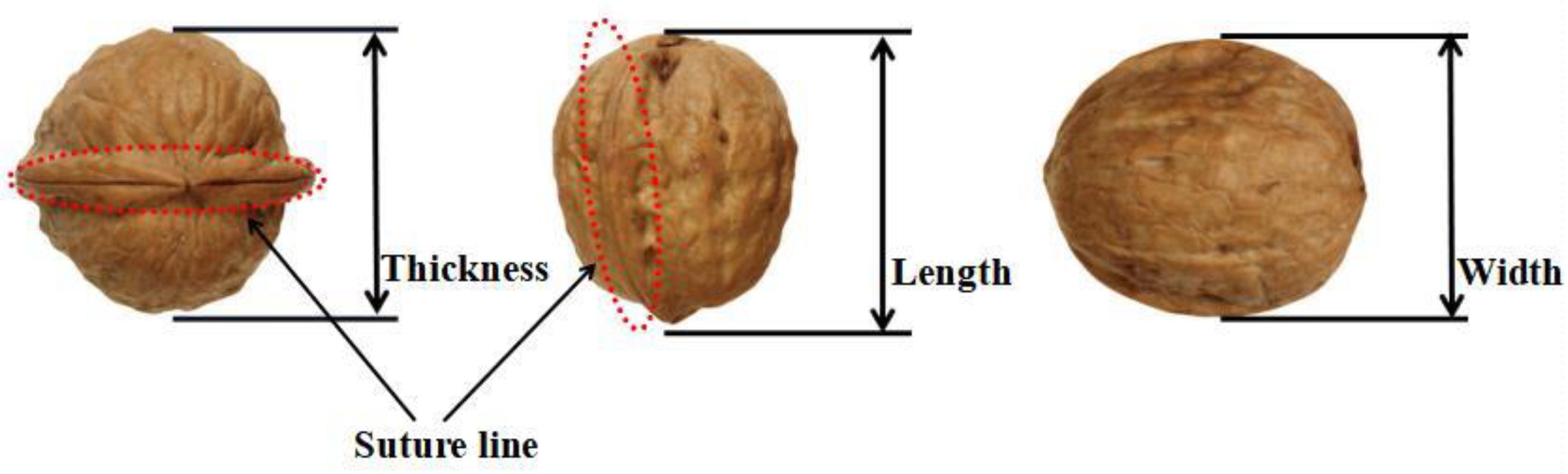 Agriculture 14 00069 g001