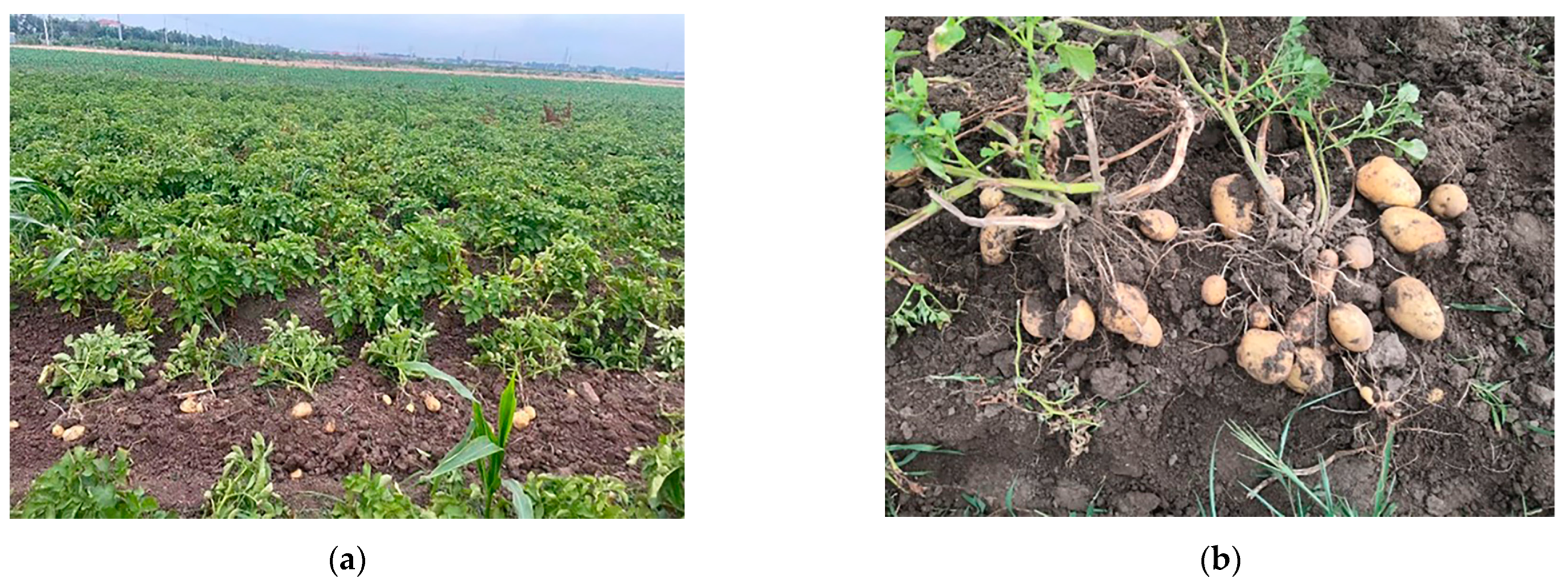 Agriculture 14 00071 g011