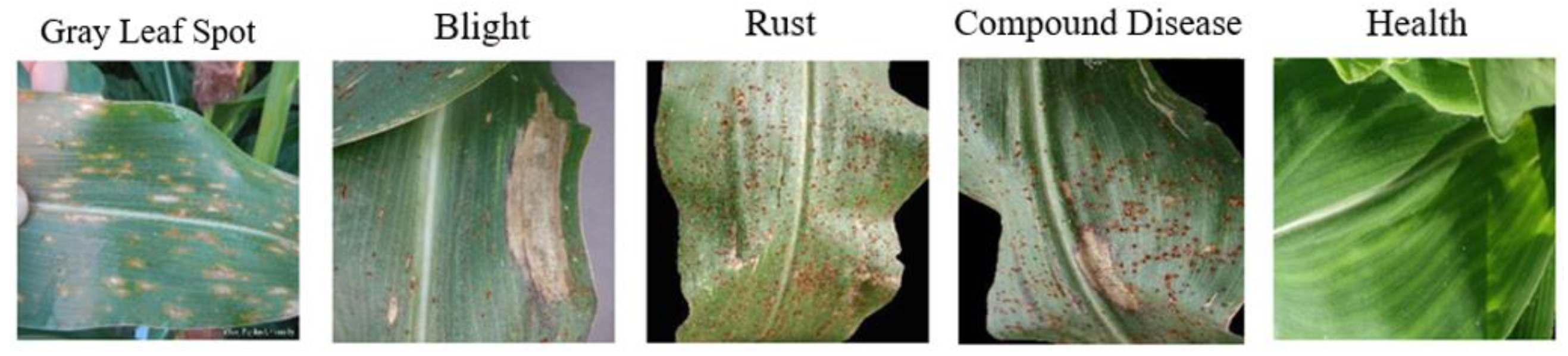 Agriculture 14 00074 g001