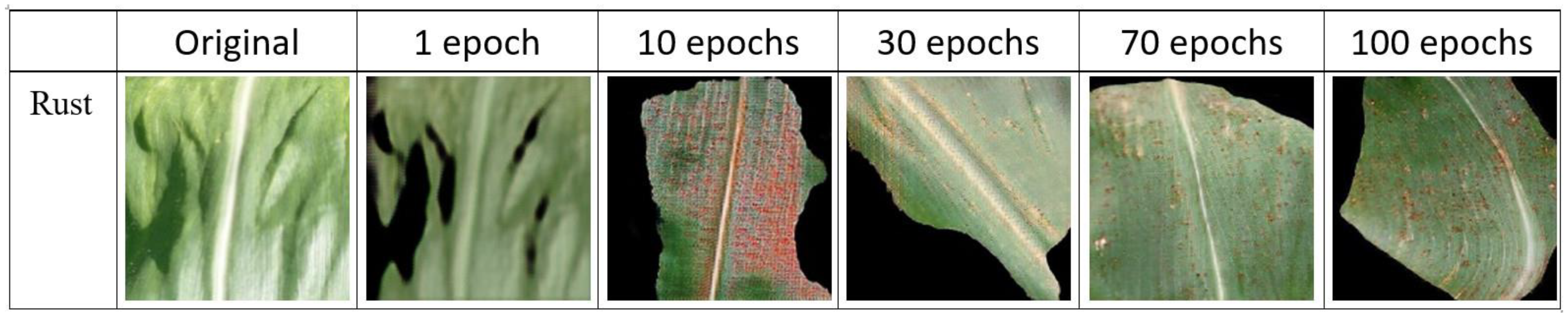 Agriculture 14 00074 g005