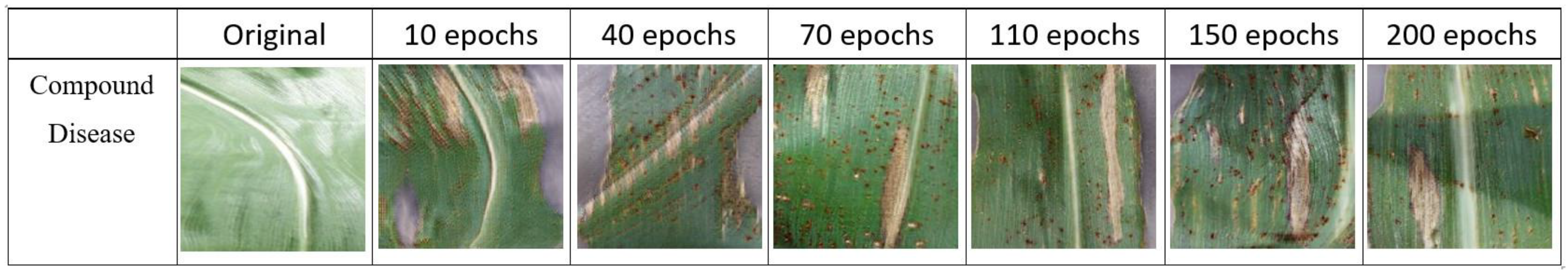 Agriculture 14 00074 g007