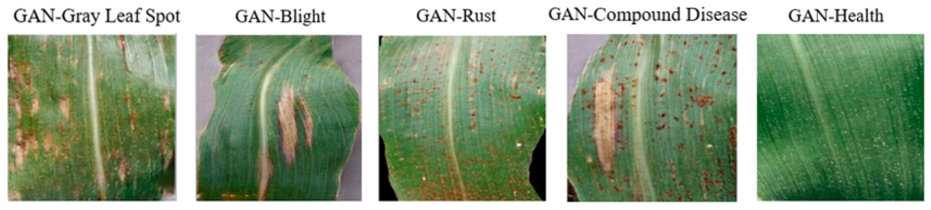 Agriculture 14 00074 g009