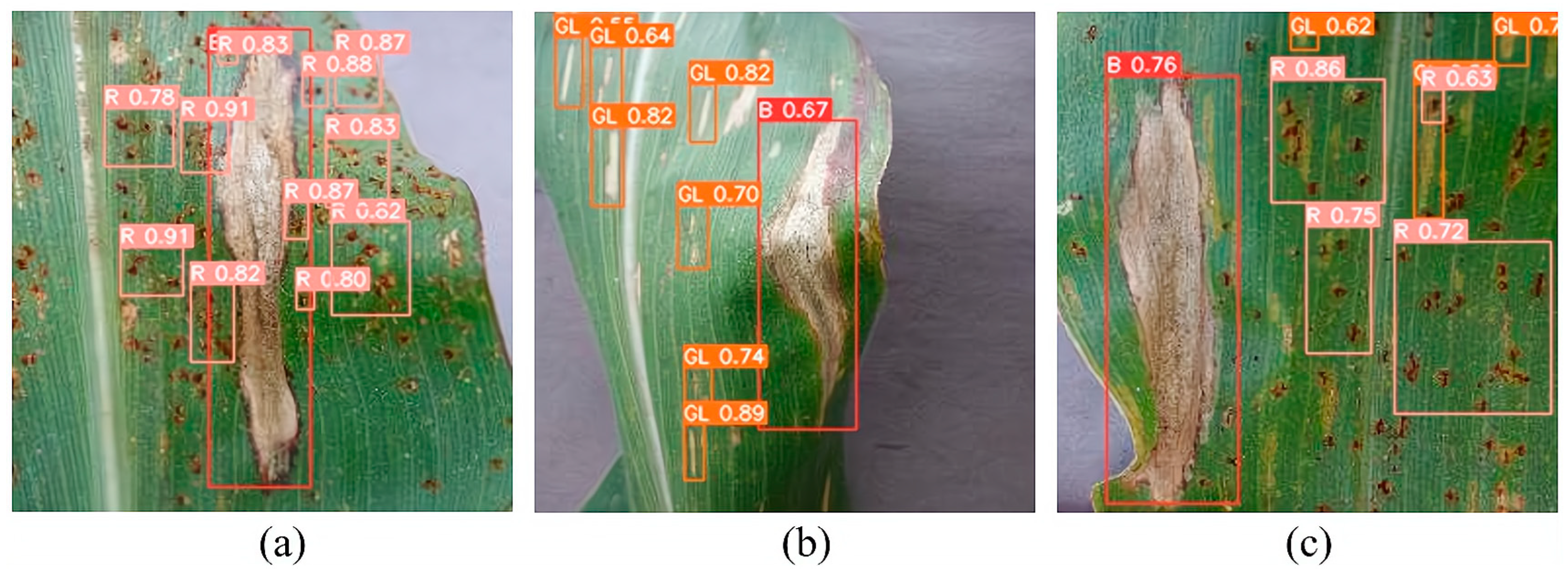 Agriculture 14 00074 g016