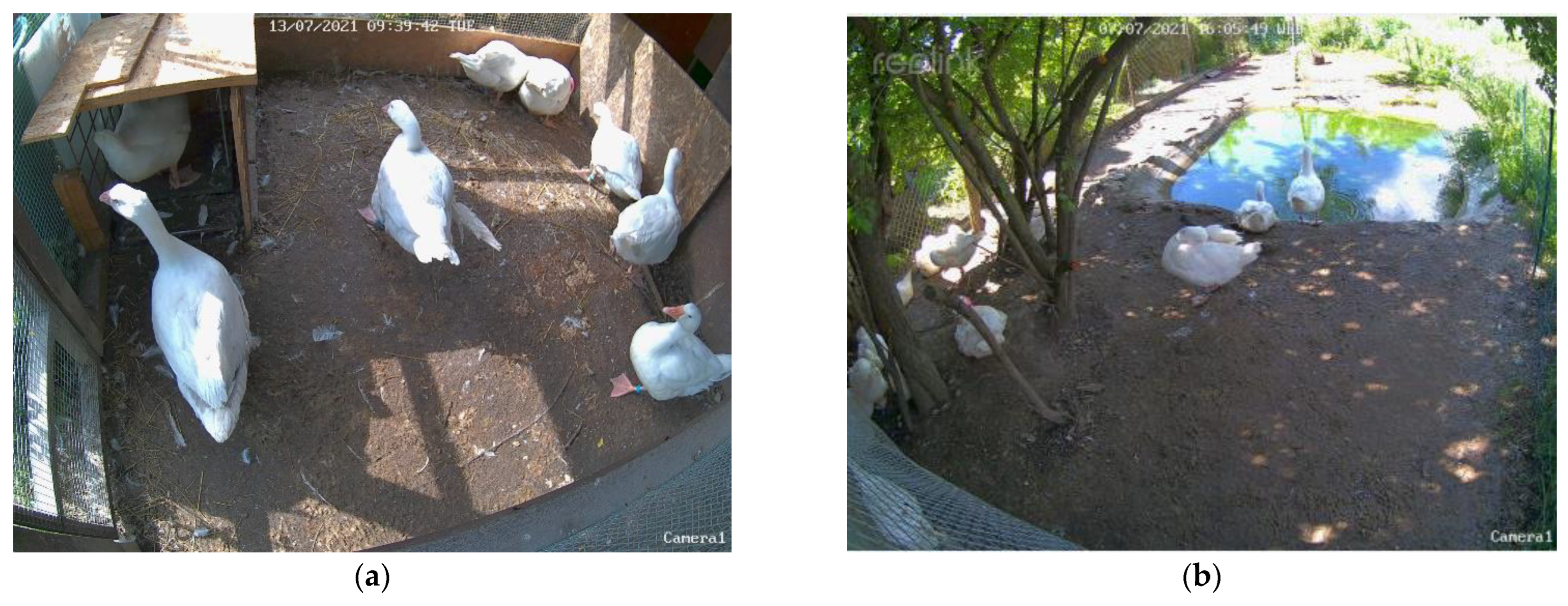 Agriculture 14 00076 g002