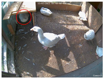 Agriculture 14 00076 i002