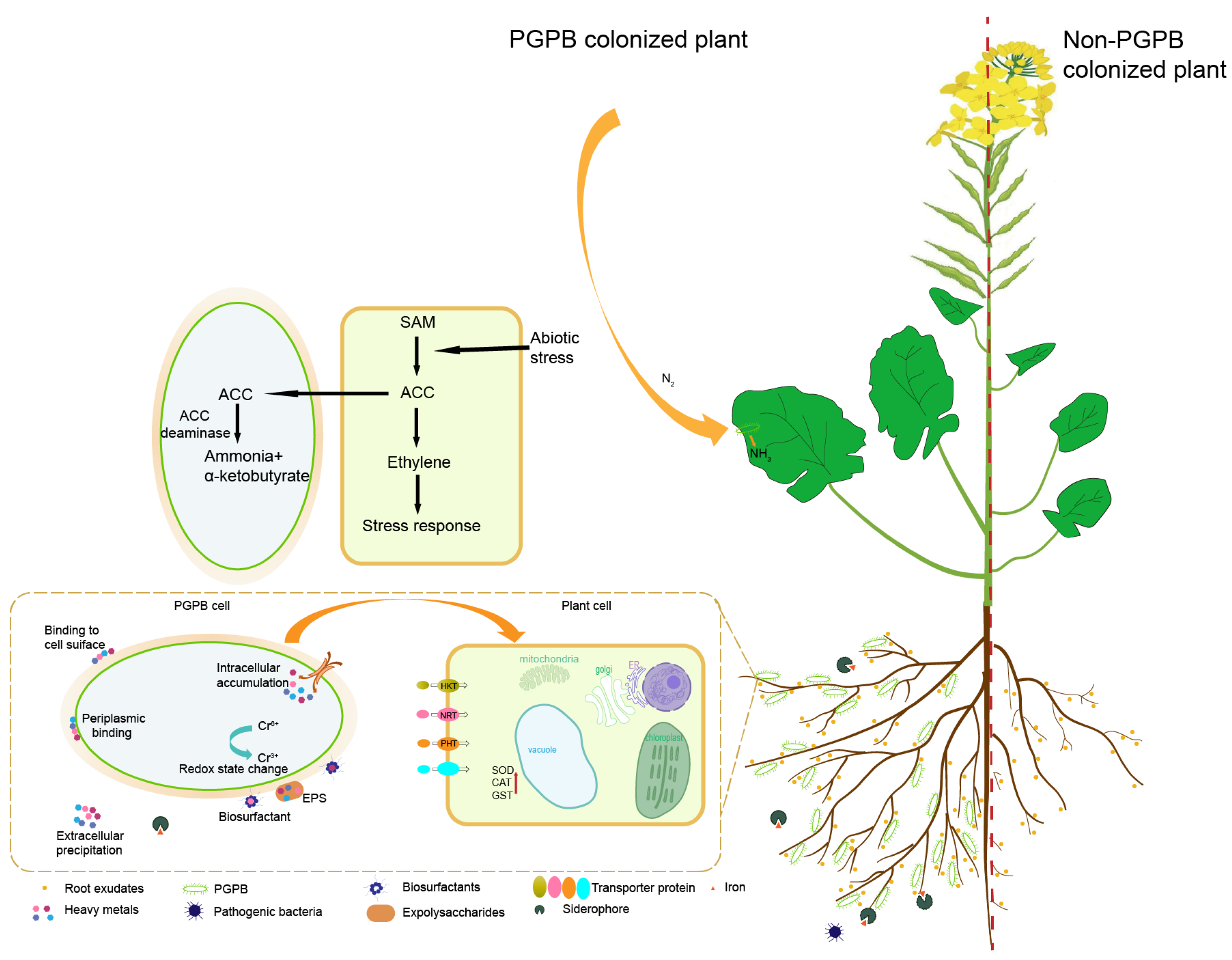 Agriculture 14 00080 g002