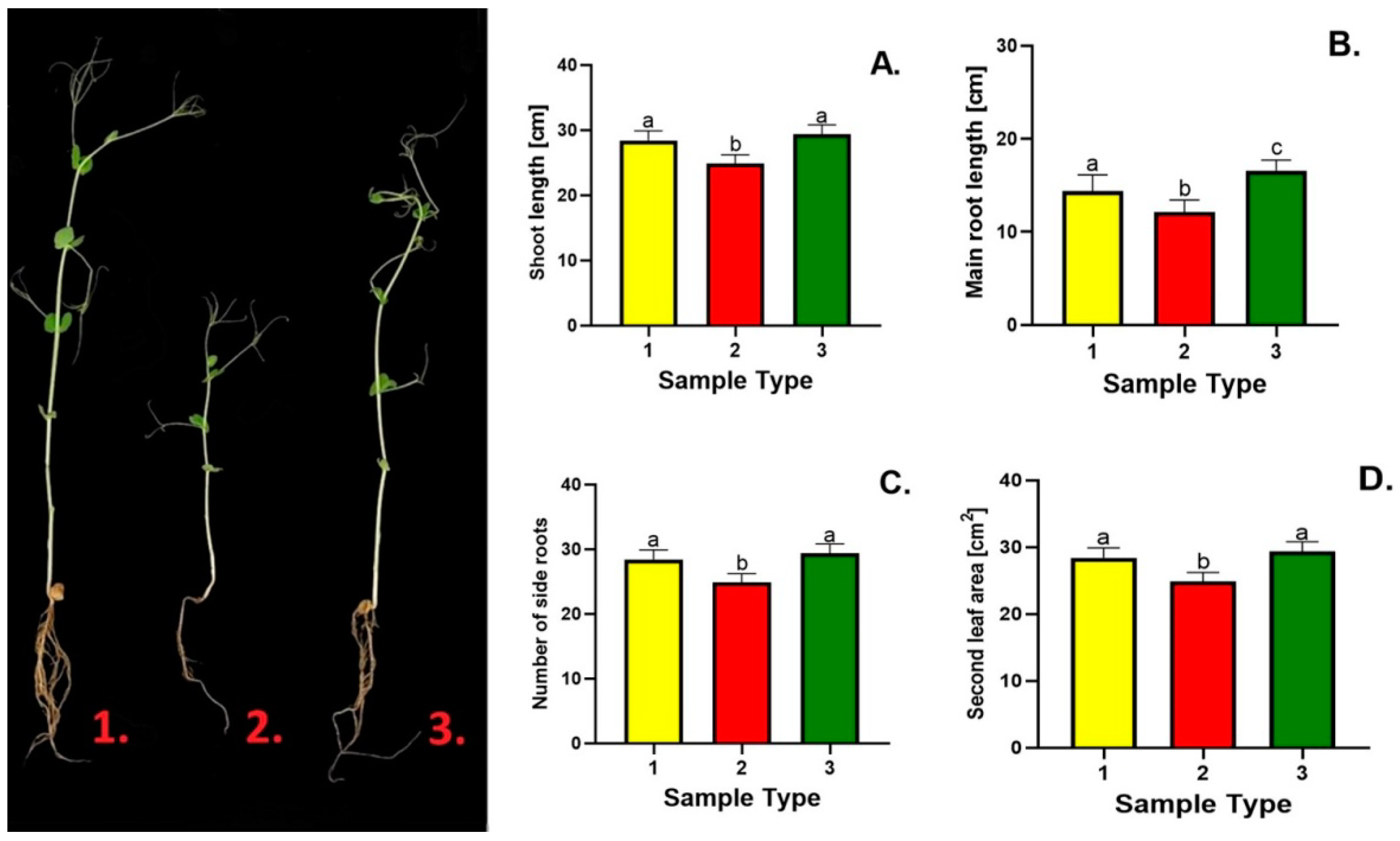 Agriculture 14 00087 g001