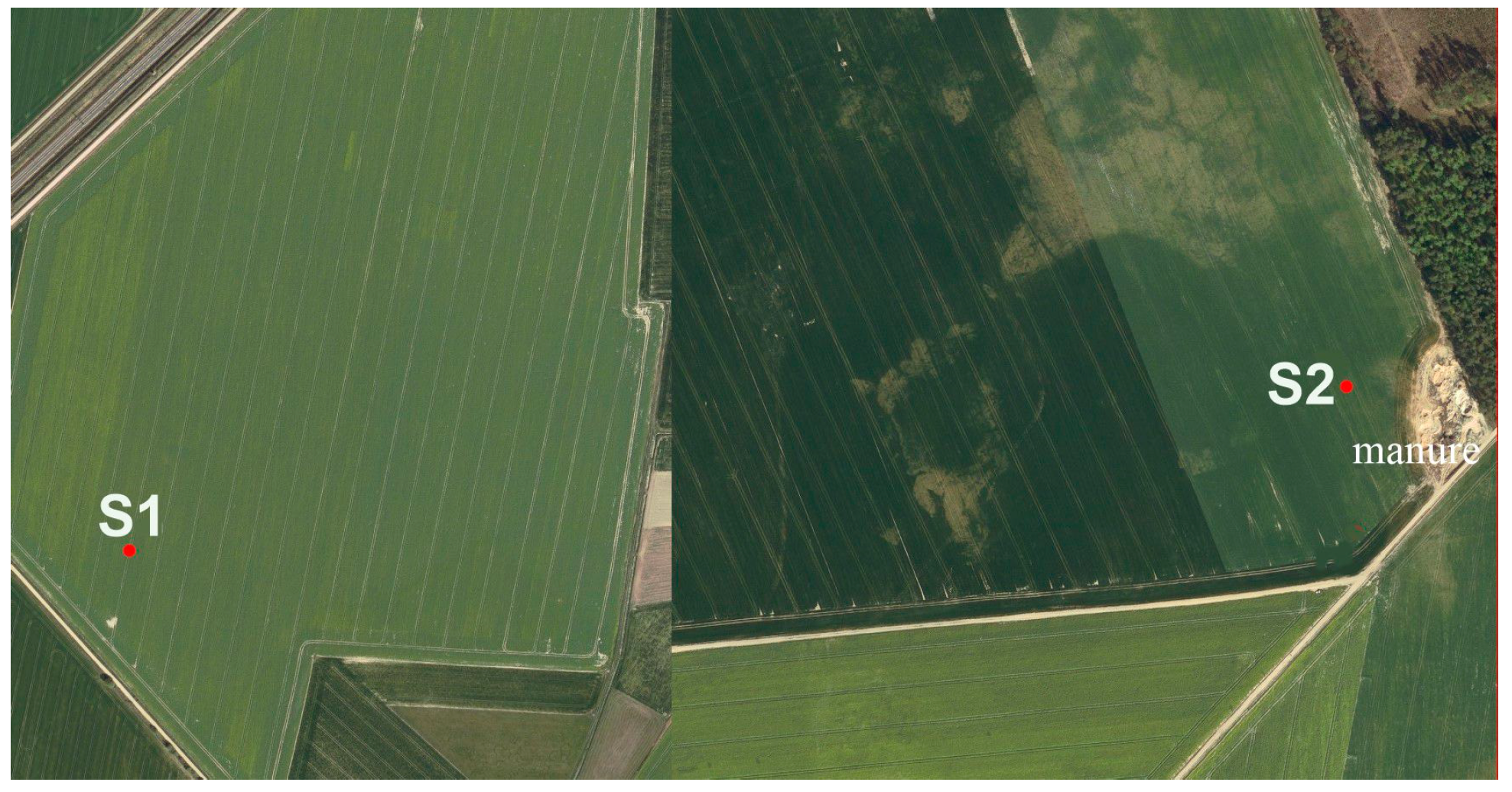 Agriculture 14 00087 sch001