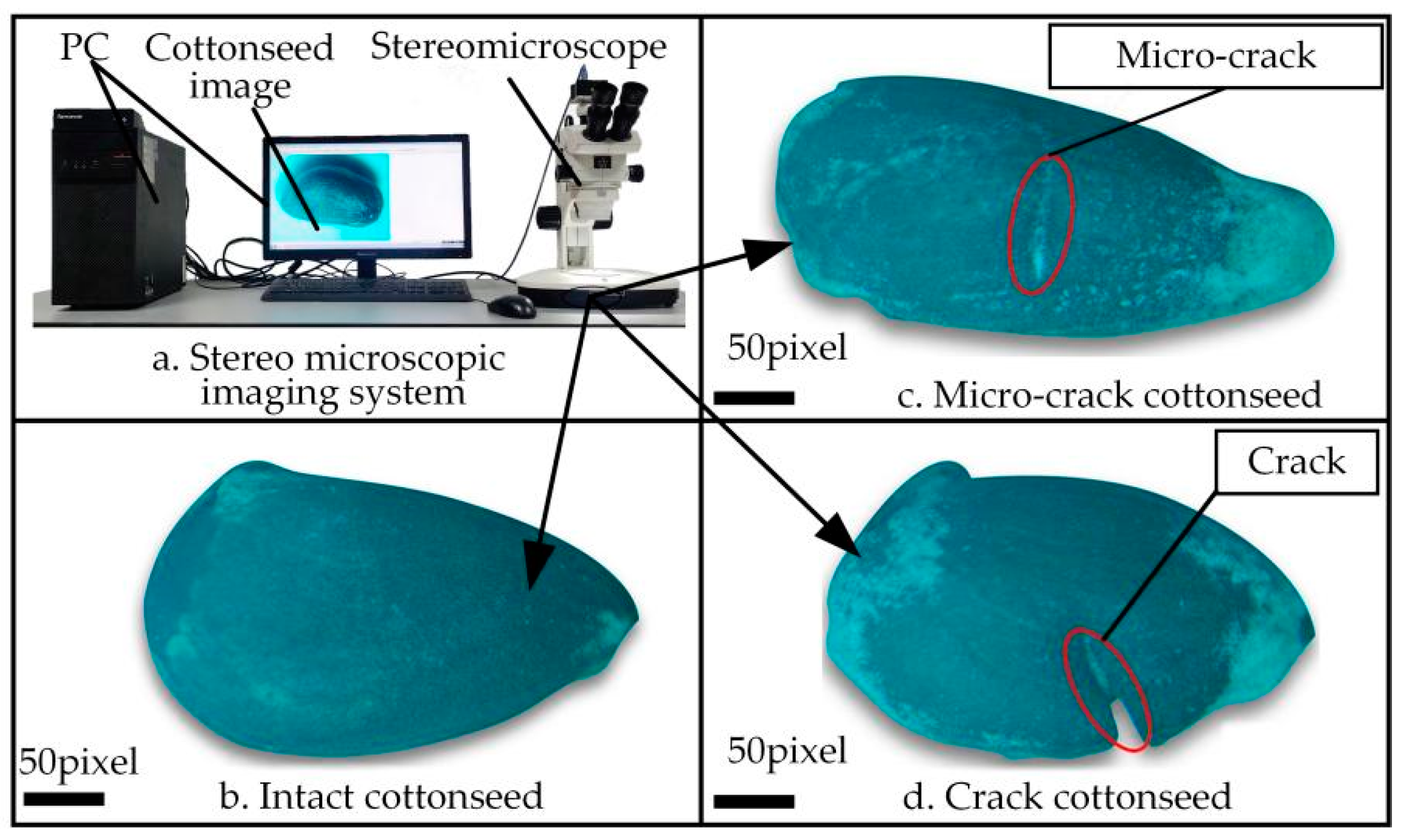 Agriculture 14 00092 g003