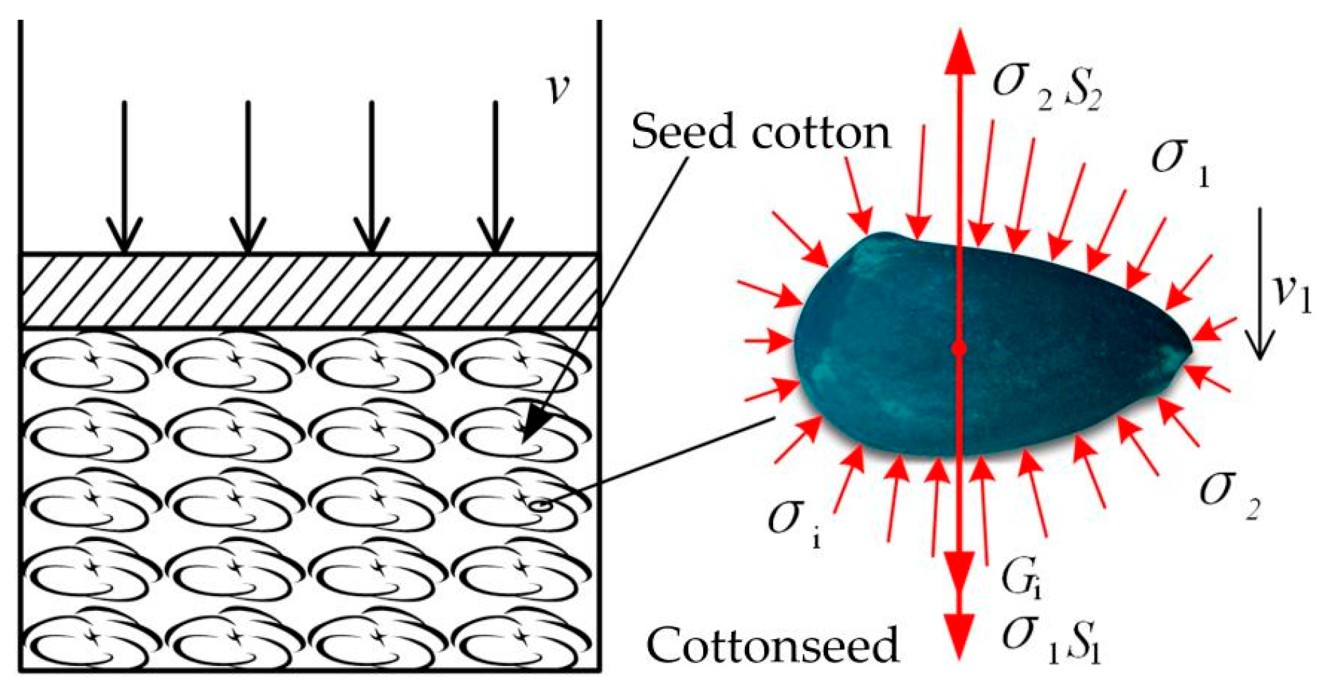Agriculture 14 00092 g004