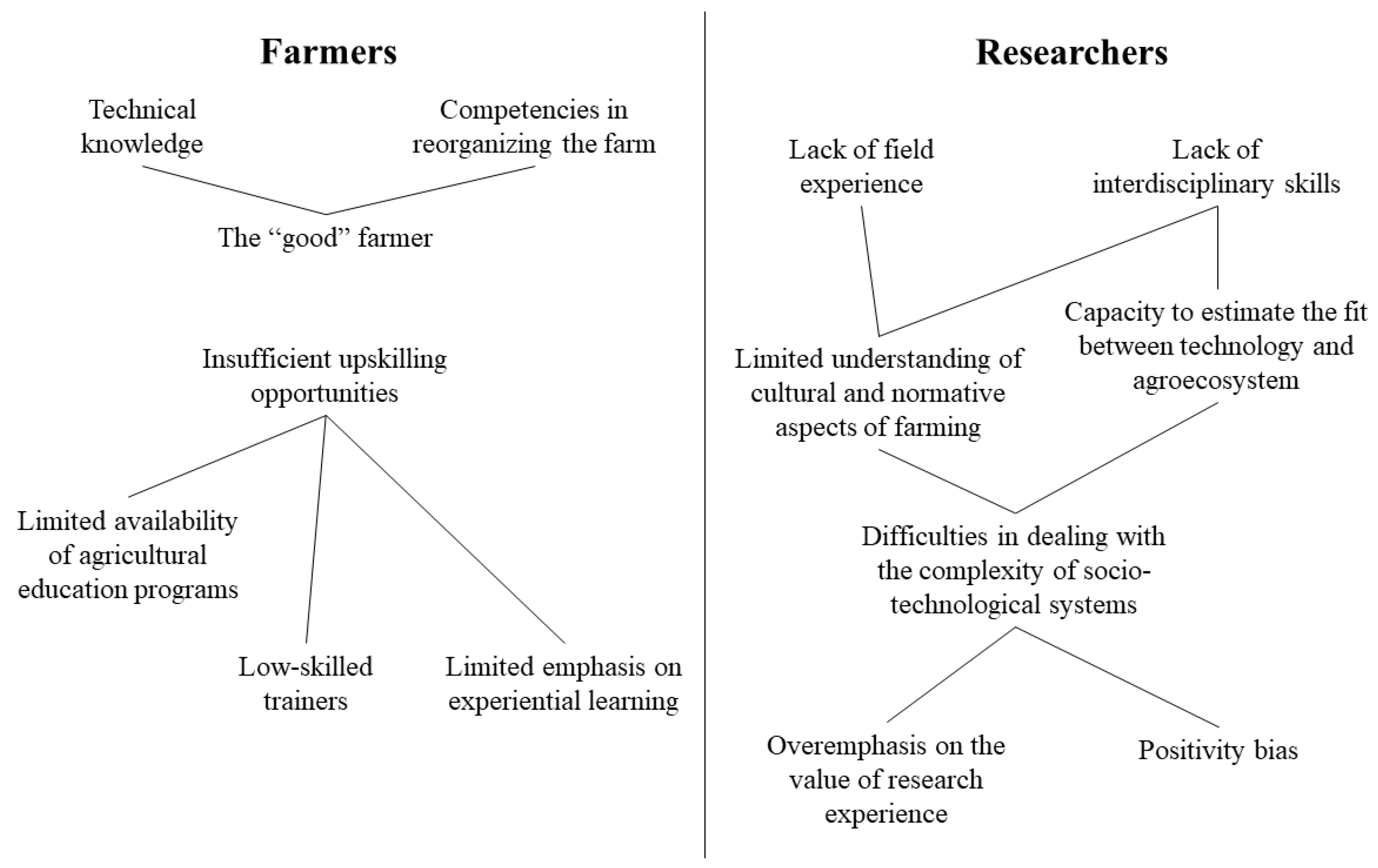 Agriculture 14 00099 g001