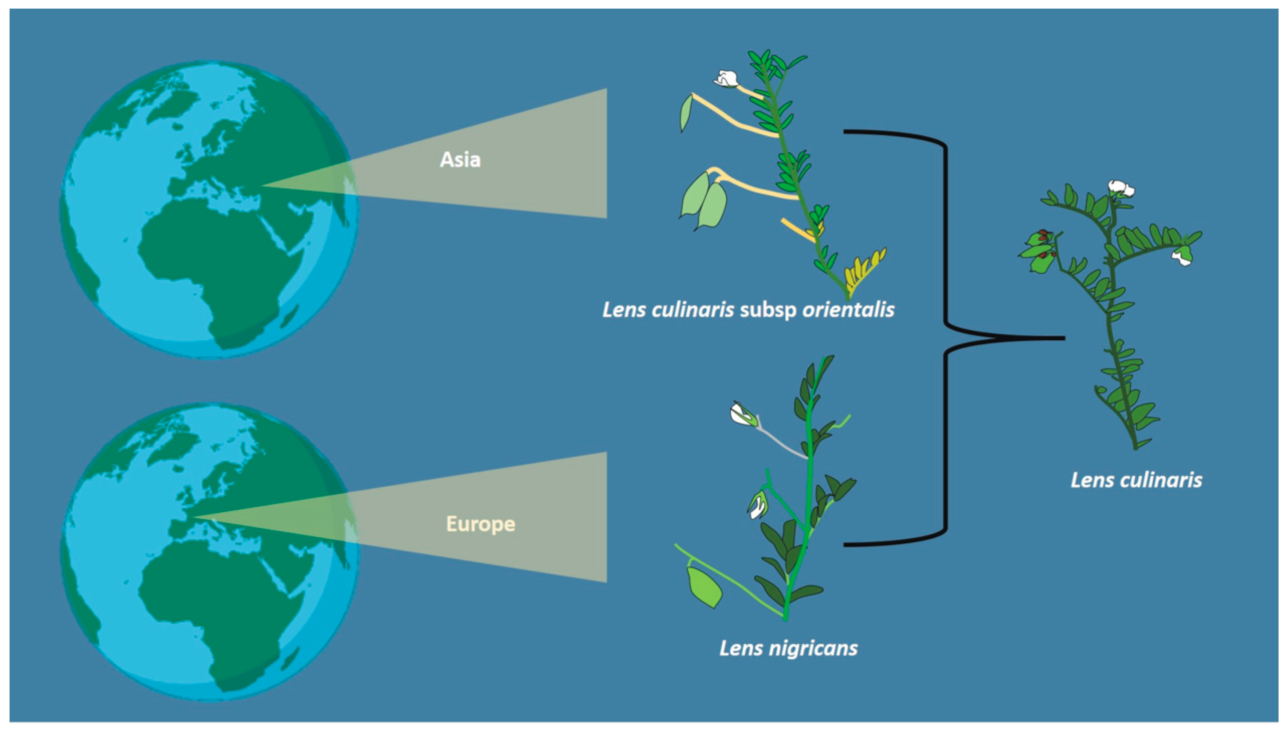 Agriculture 14 00103 g001