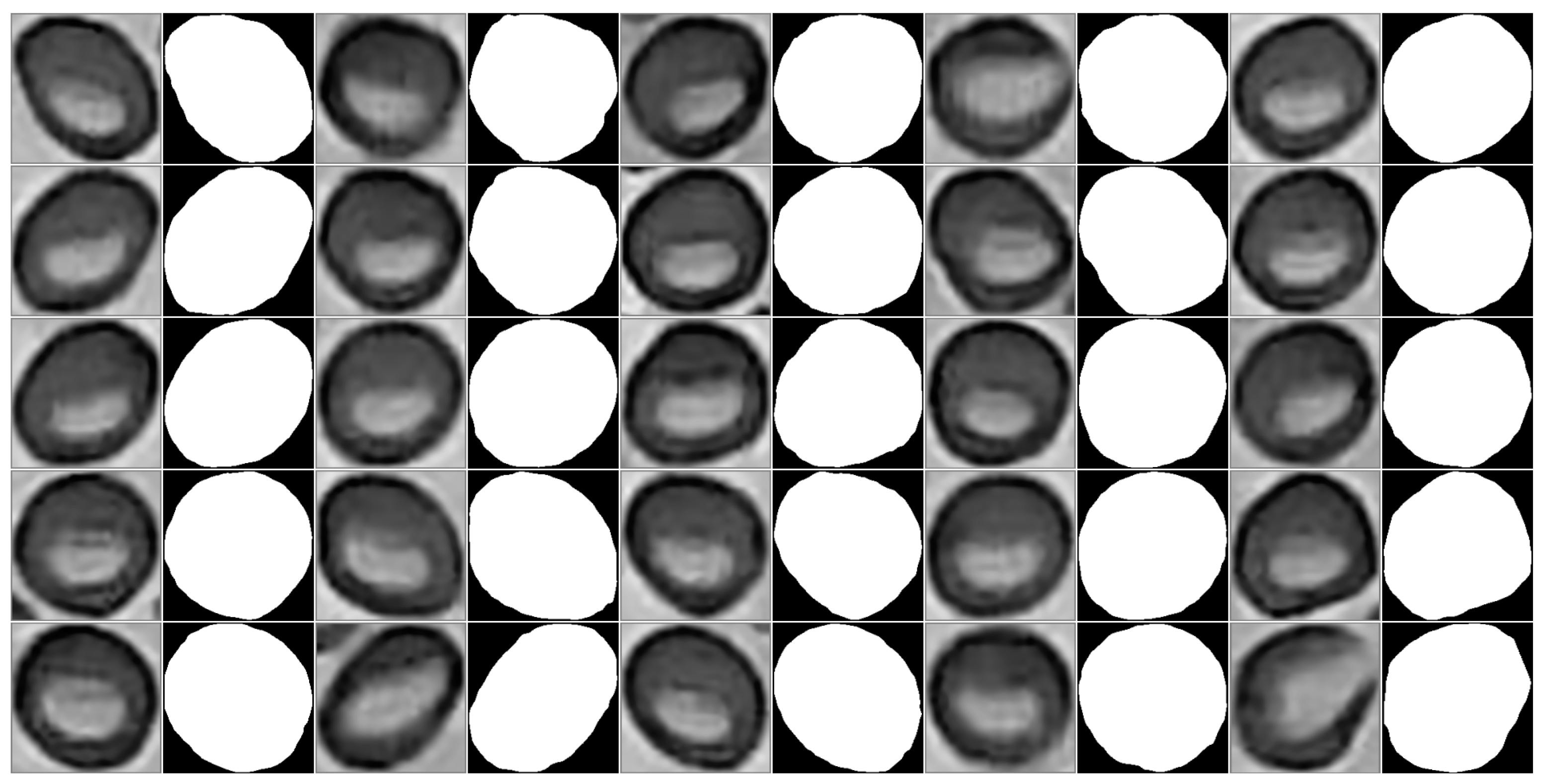 Agriculture 14 00106 g005