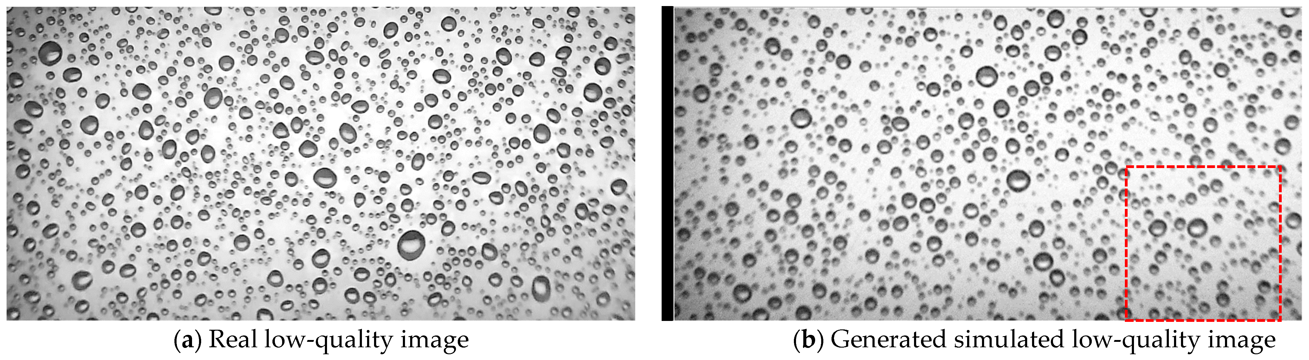 Agriculture 14 00106 g008