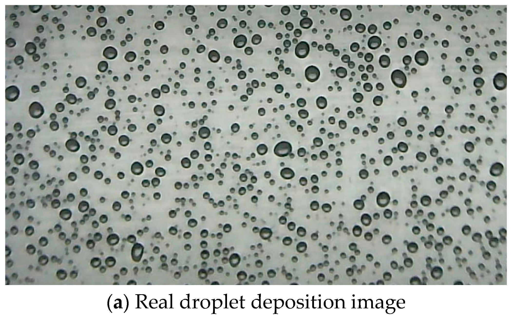 Agriculture 14 00106 g018a