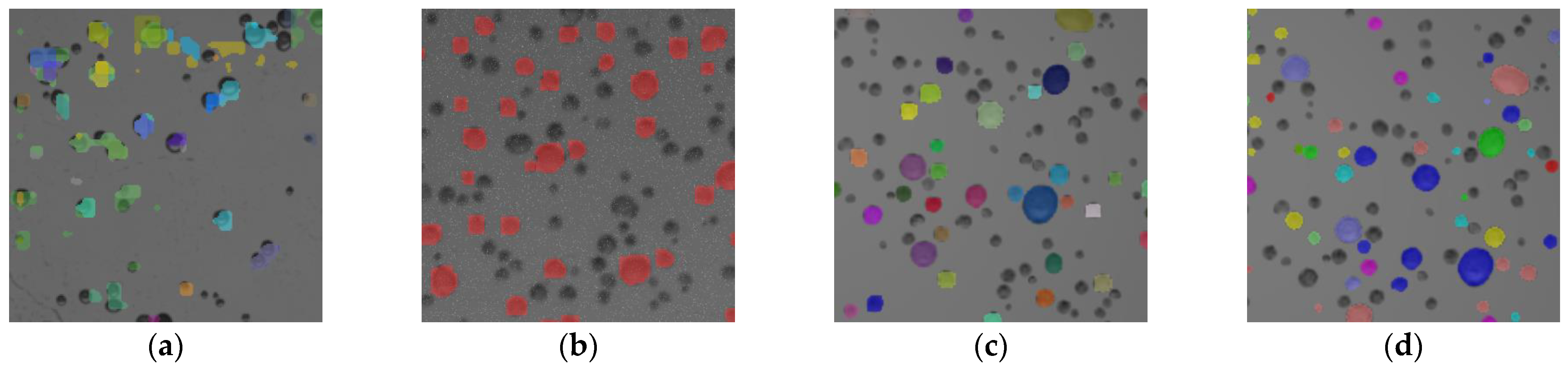 Agriculture 14 00106 g021