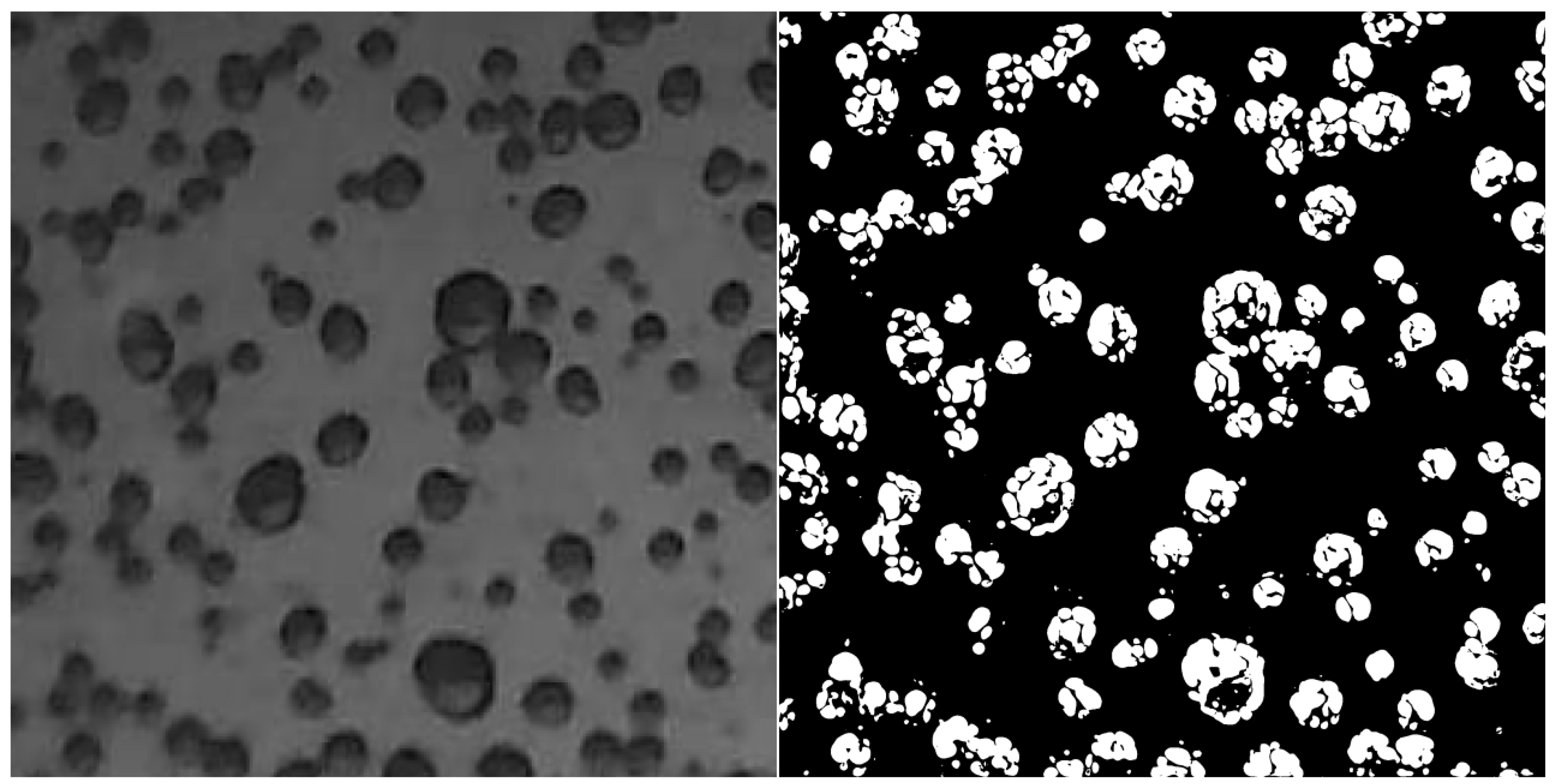 Agriculture 14 00106 g022