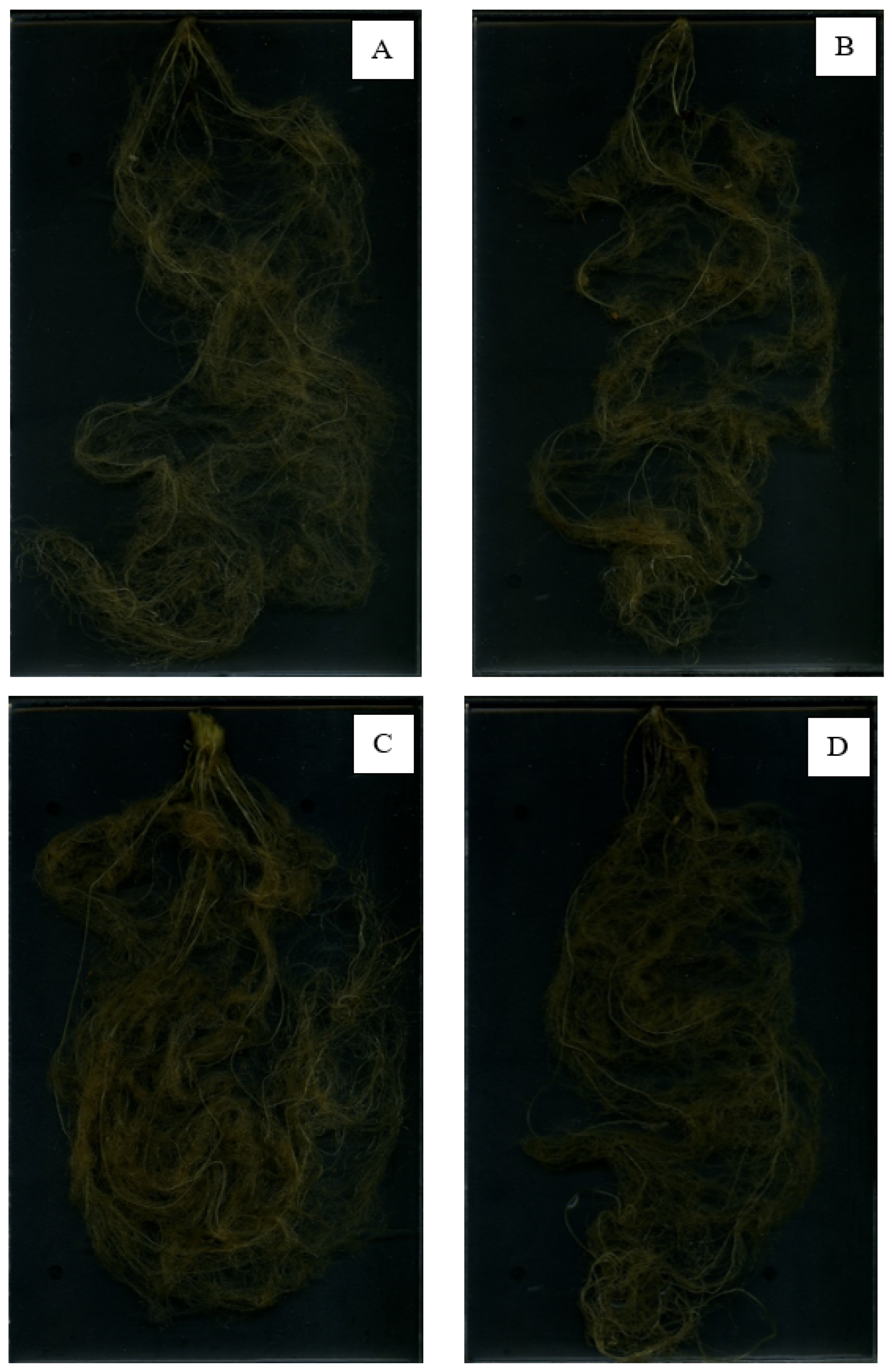 Agriculture 14 00109 g007