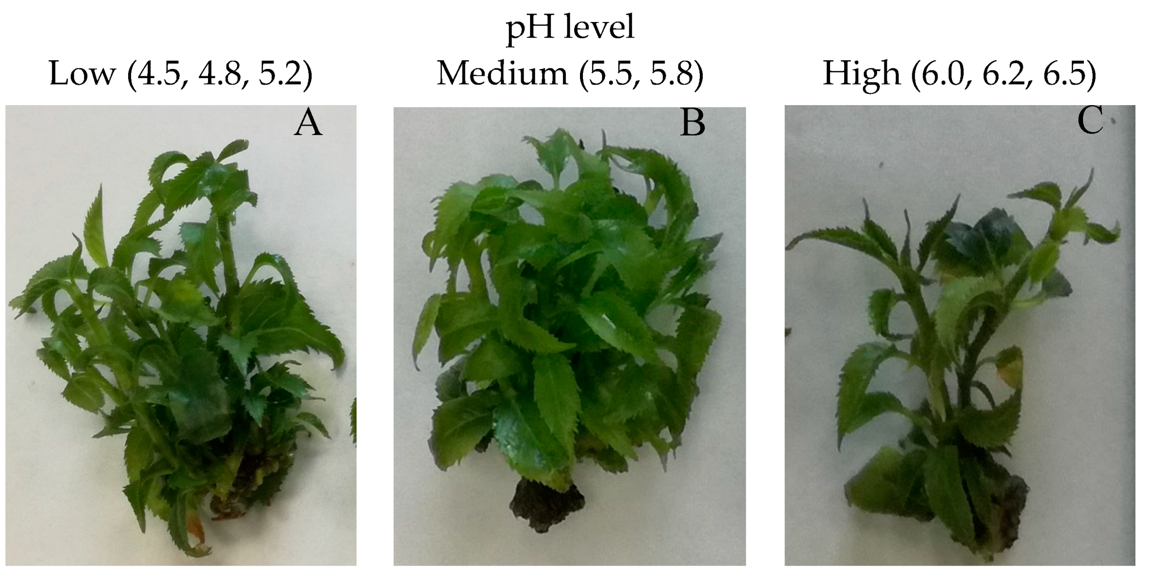 Agriculture 14 00120 g003 Agriculture 14 00120 g003