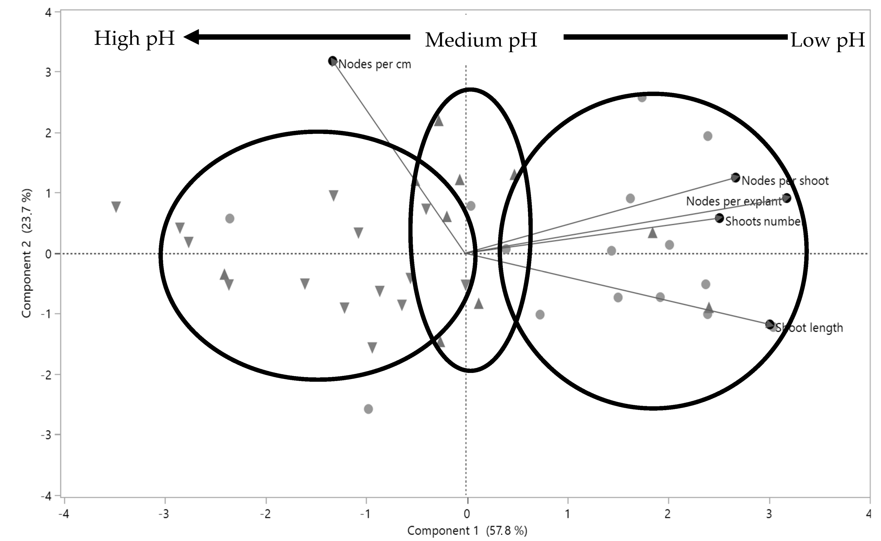 Agriculture 14 00120 g005 Agriculture 14 00120 g005