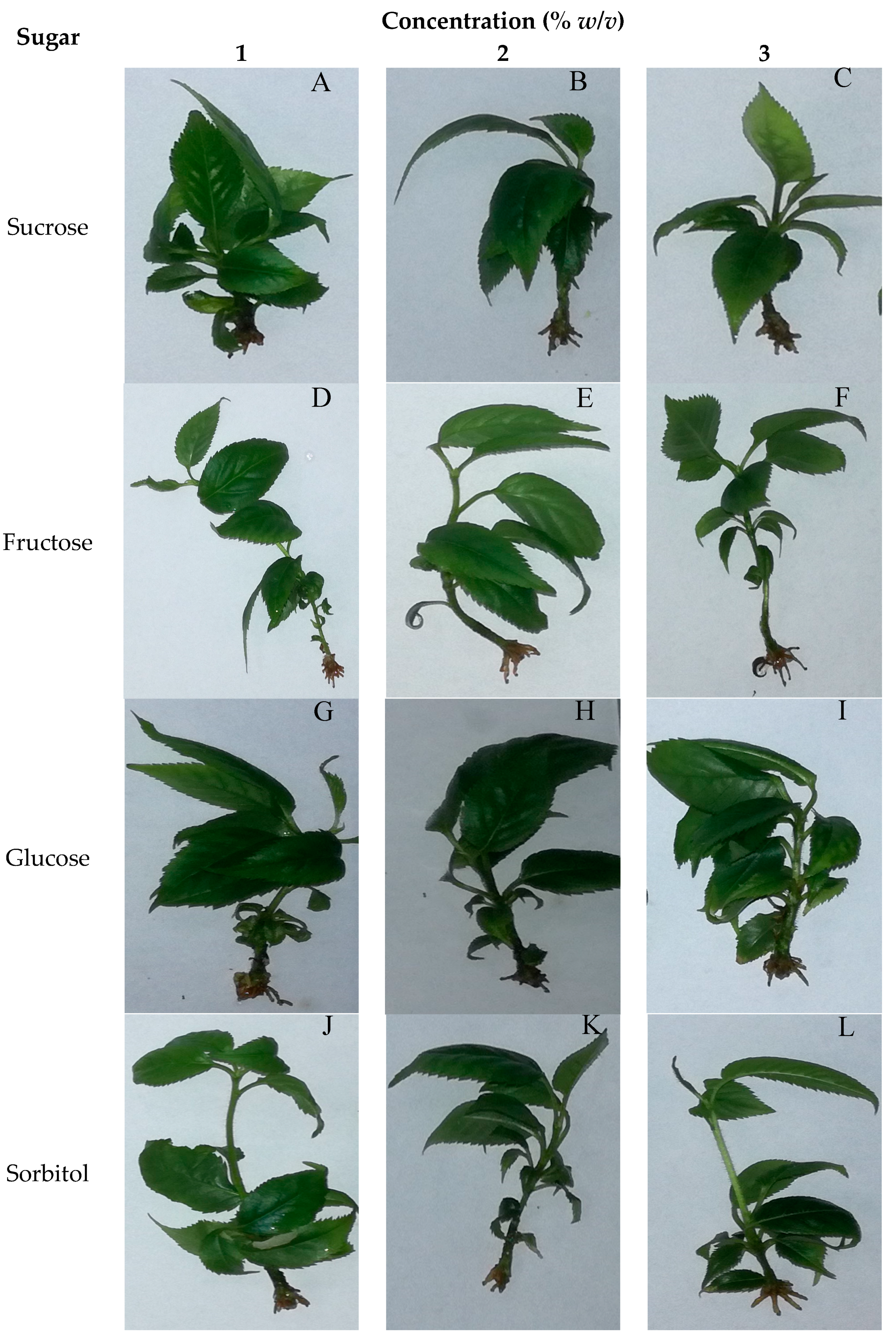 Agriculture 14 00120 g006 Agriculture 14 00120 g006