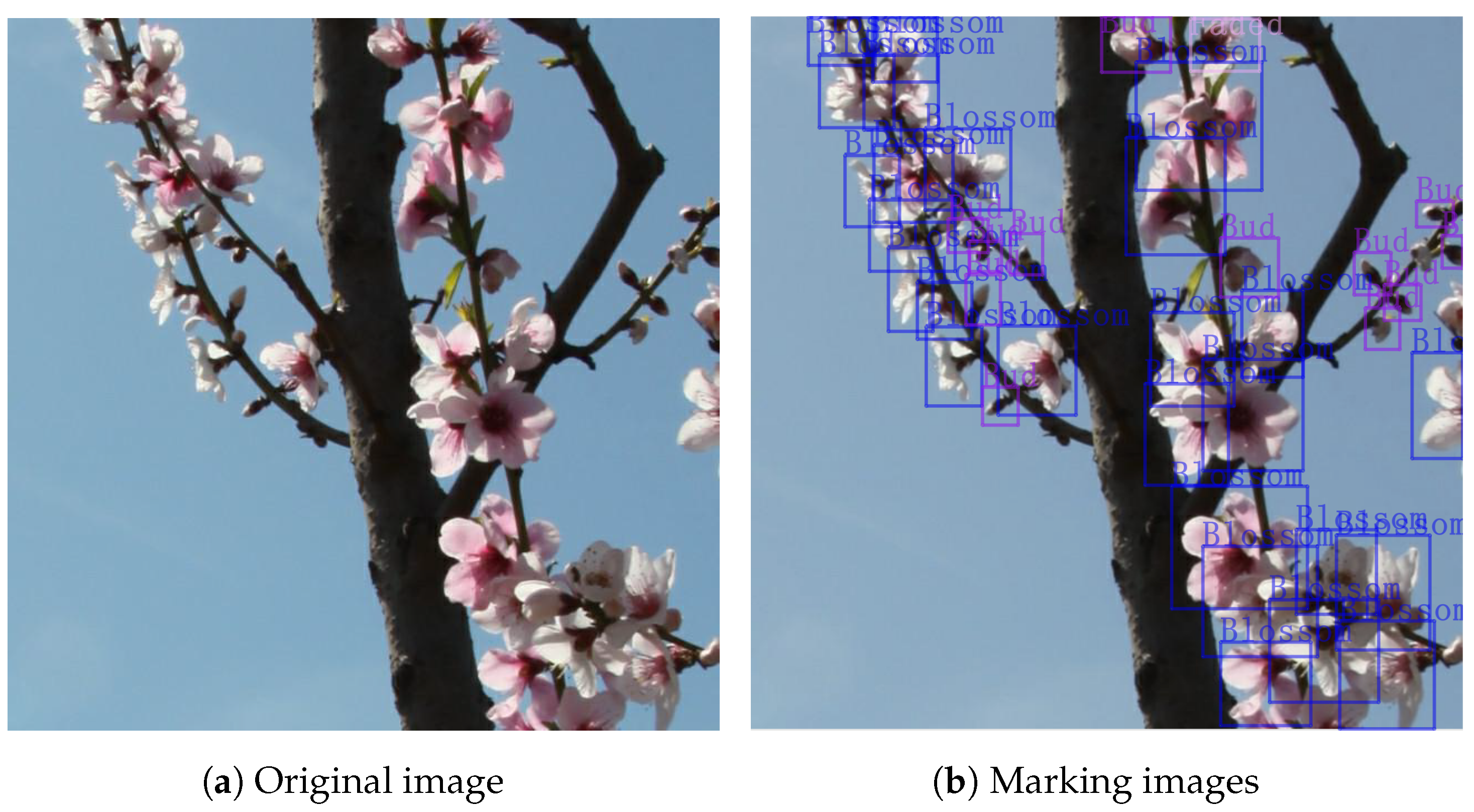 Agriculture 14 00126 g002