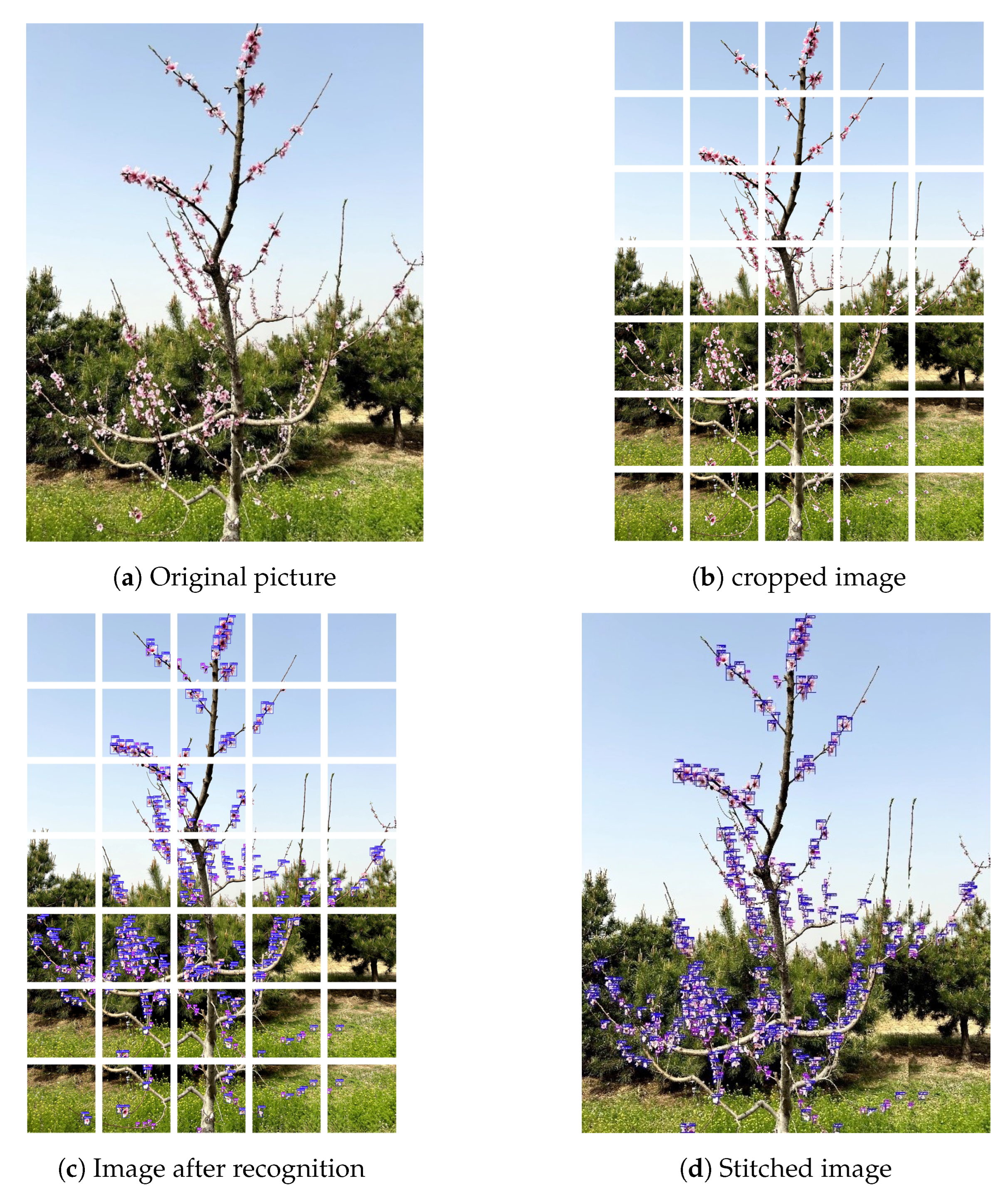 Agriculture 14 00126 g011