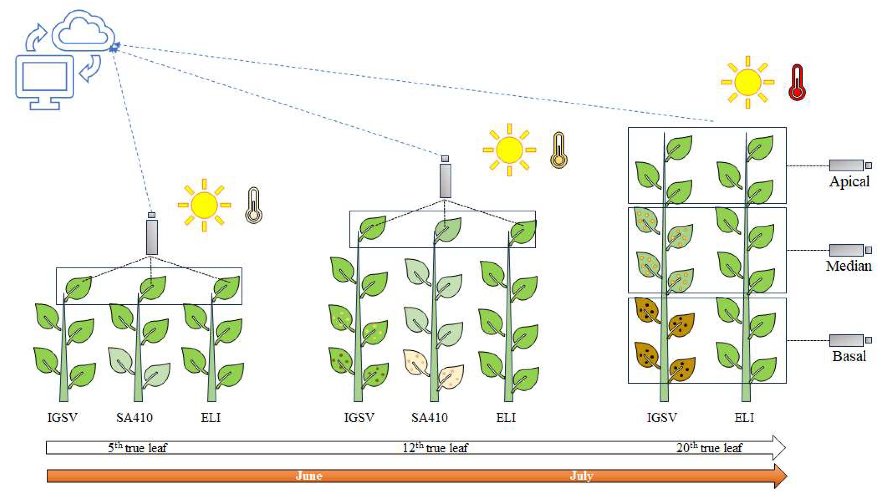 Agriculture 14 00136 g002