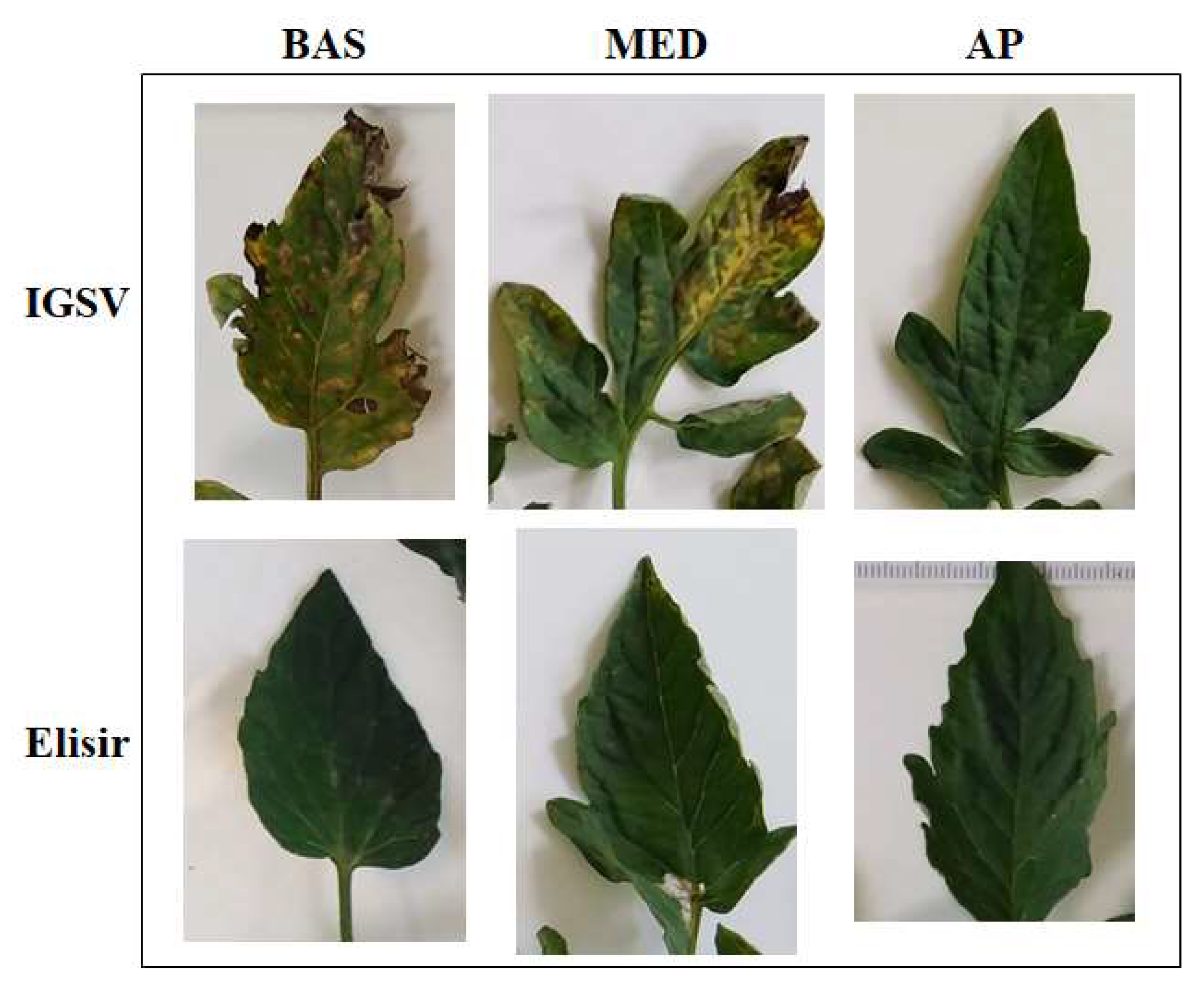 Agriculture 14 00136 g005