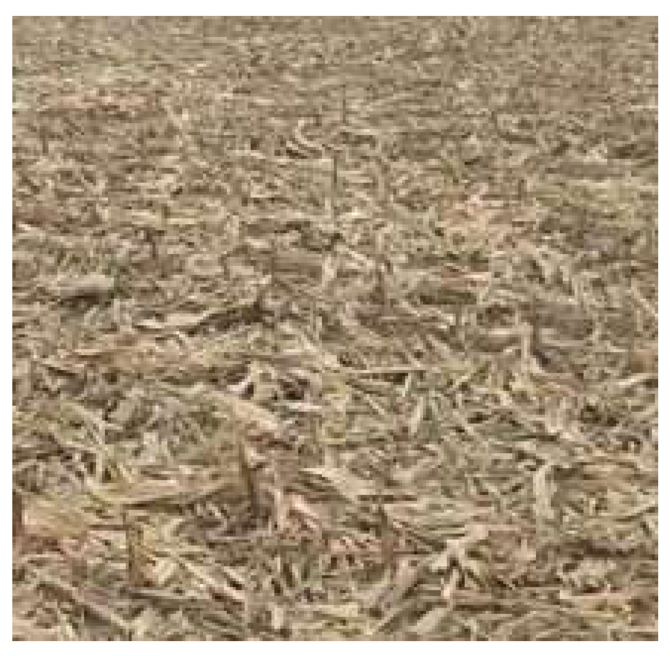 Agriculture 14 00137 g010