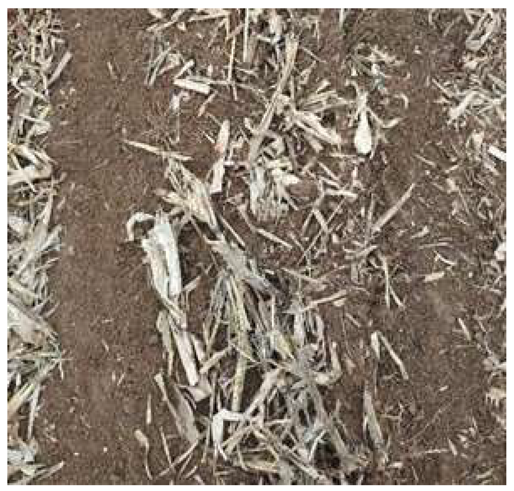 Agriculture 14 00137 g012