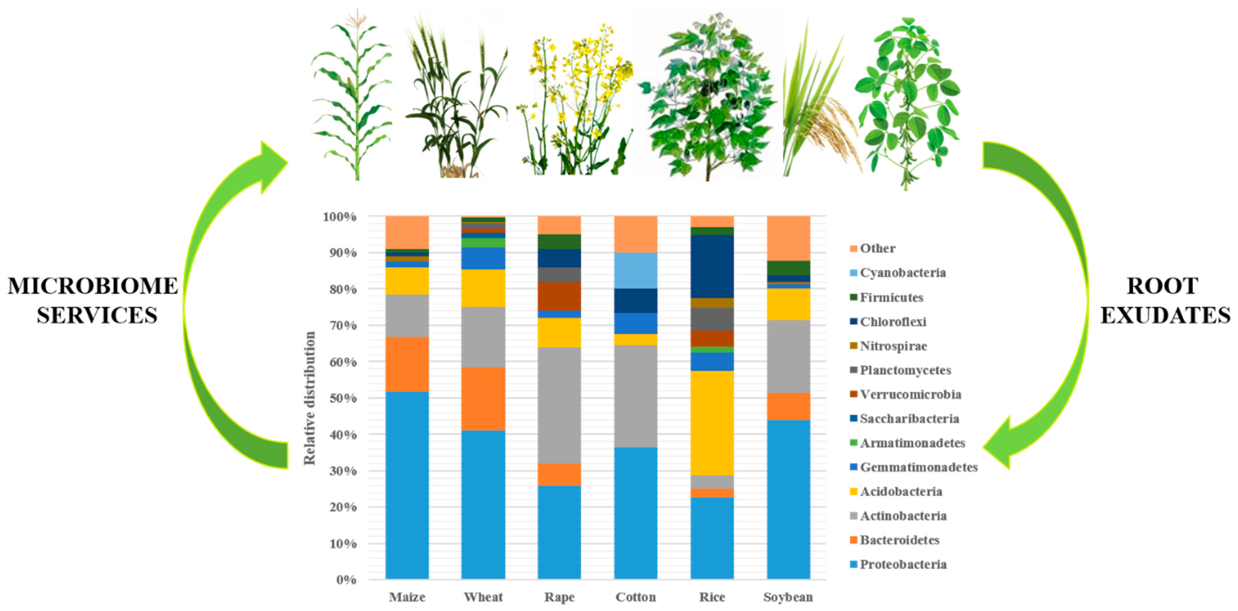 Agriculture 14 00152 g001