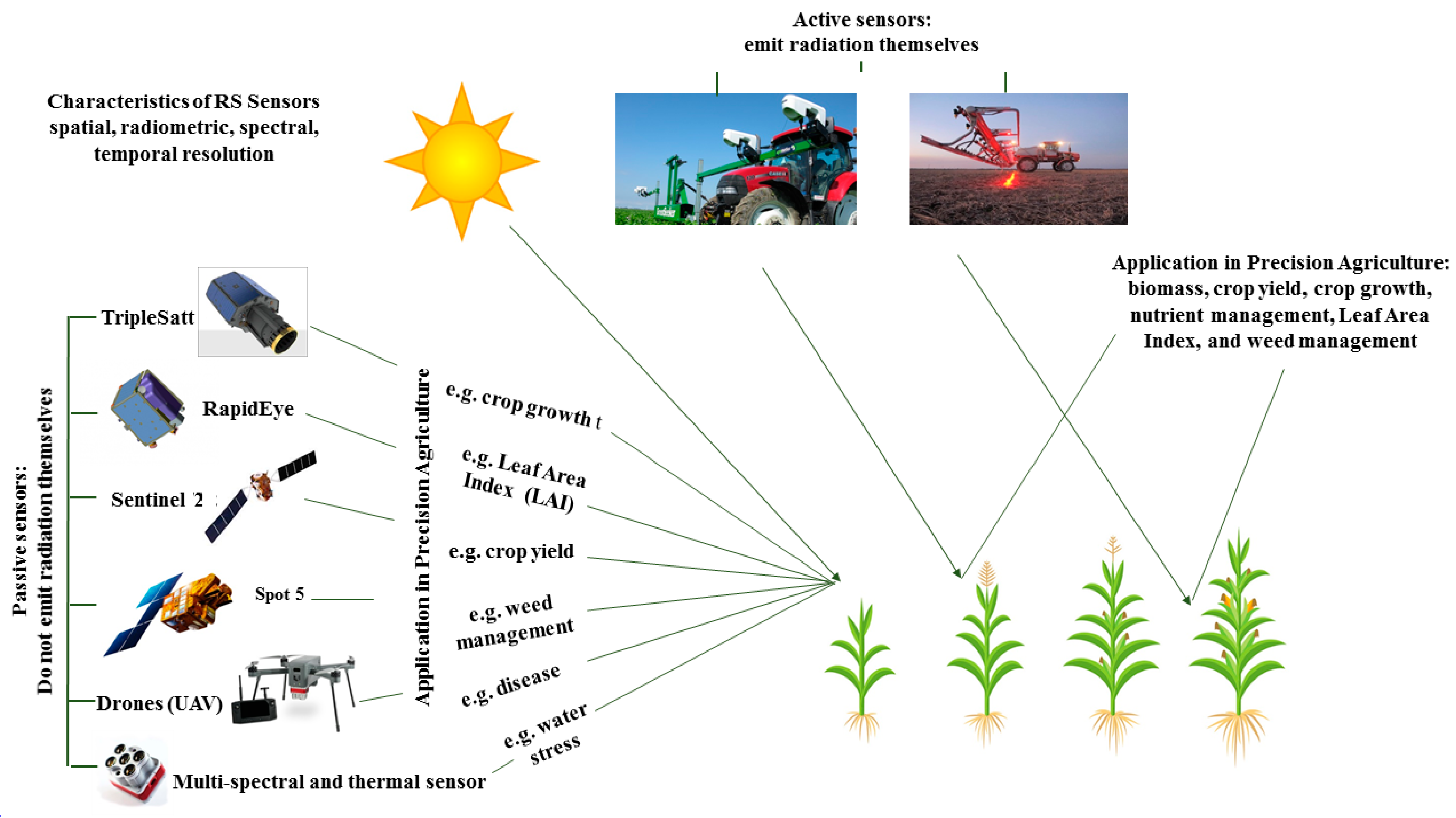 Agriculture 14 00161 g002