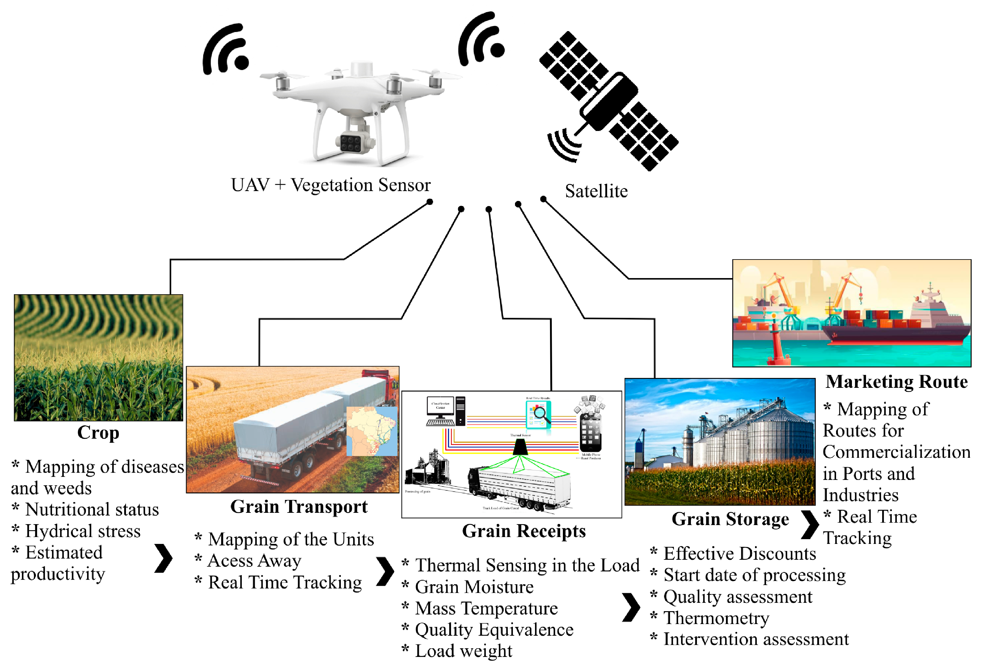 Agriculture 14 00161 g007