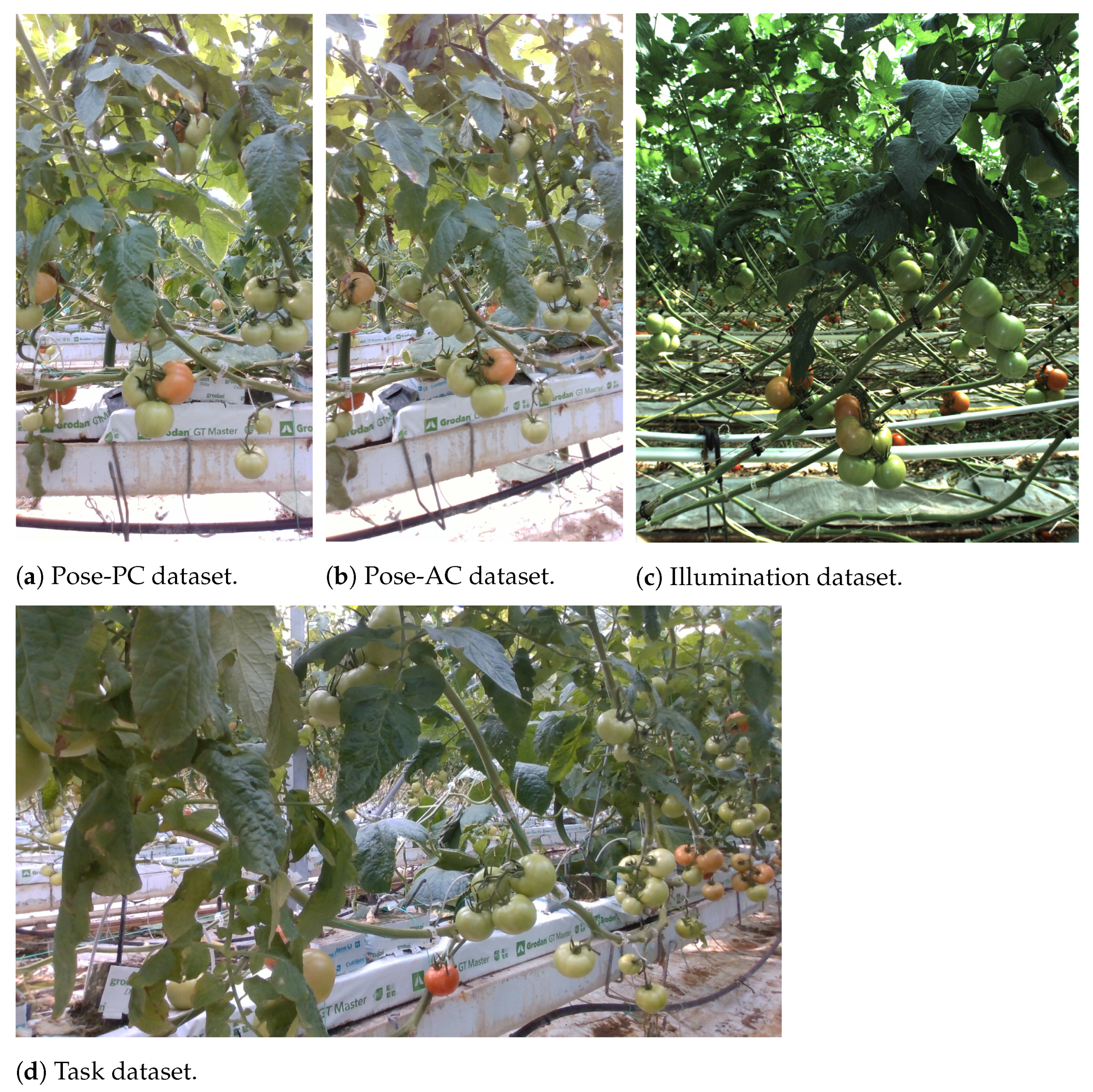 Agriculture 14 00173 g003